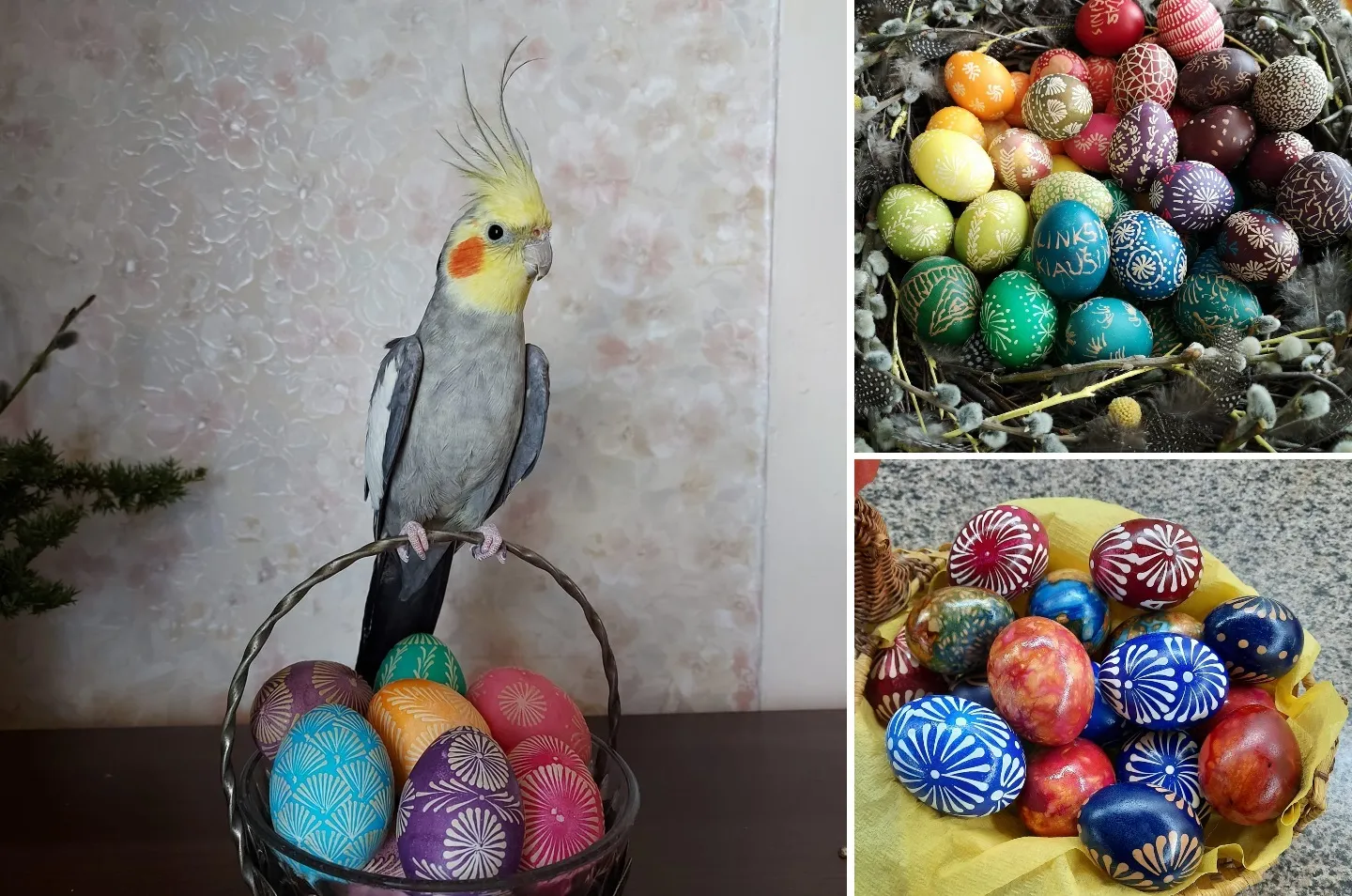 Skaitytojų margučiai