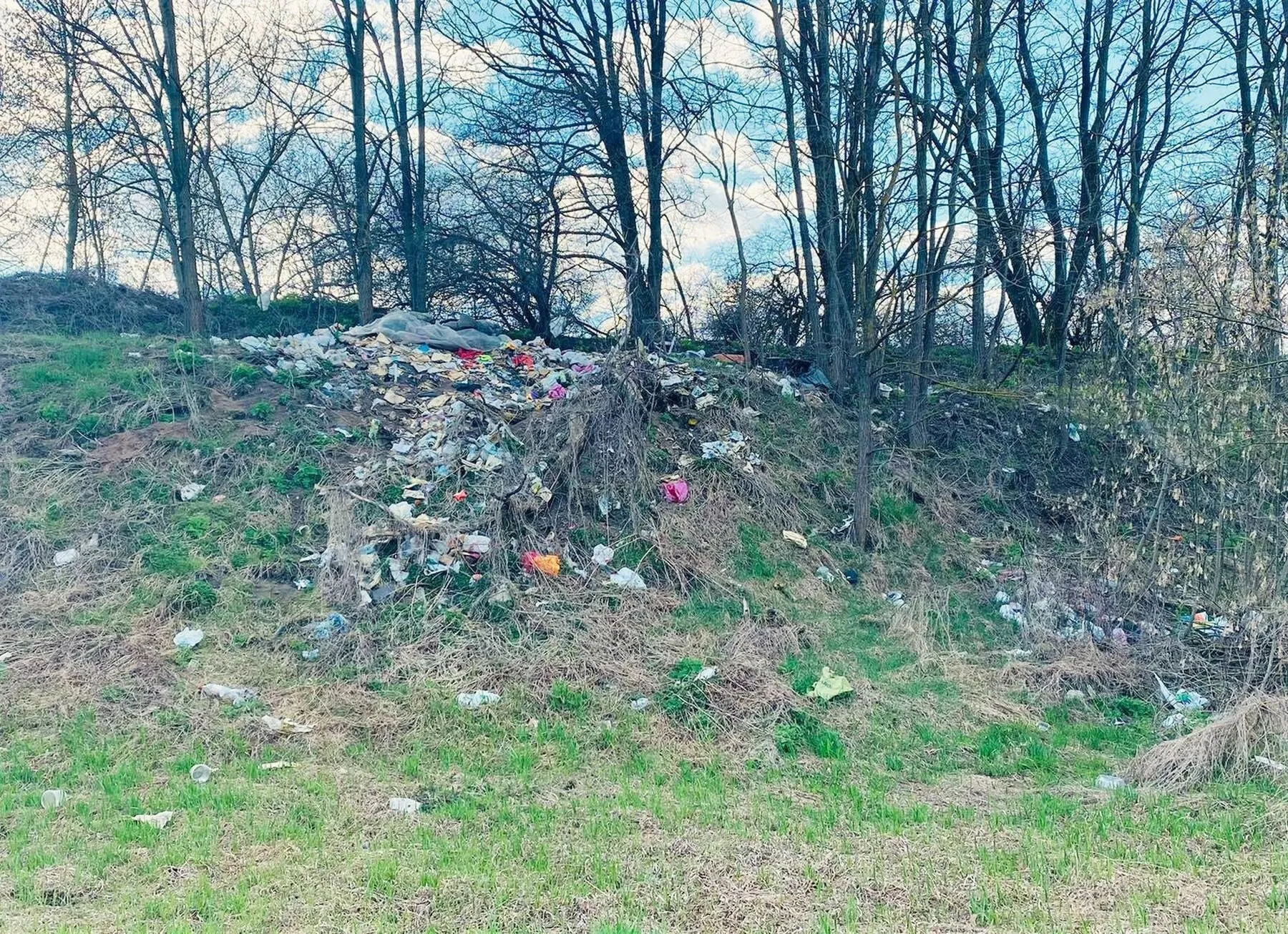 Benamis Neries pakrantėje