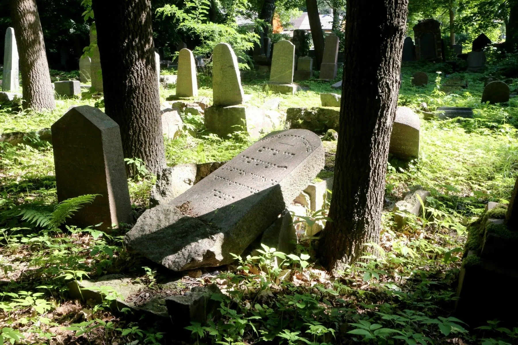 Žaliakalnio žydų kapinės