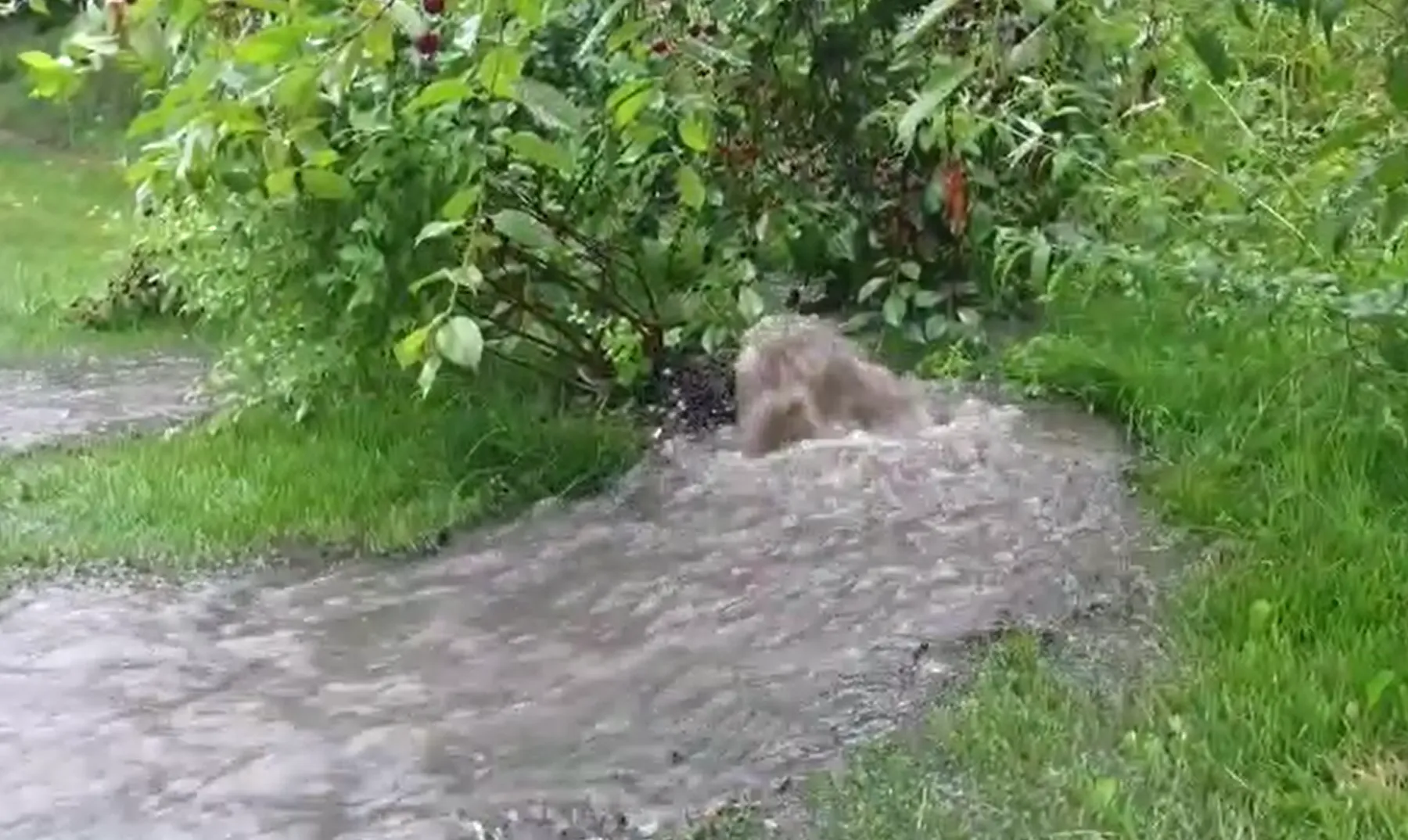 Potvynis  Partizanų gatvėje