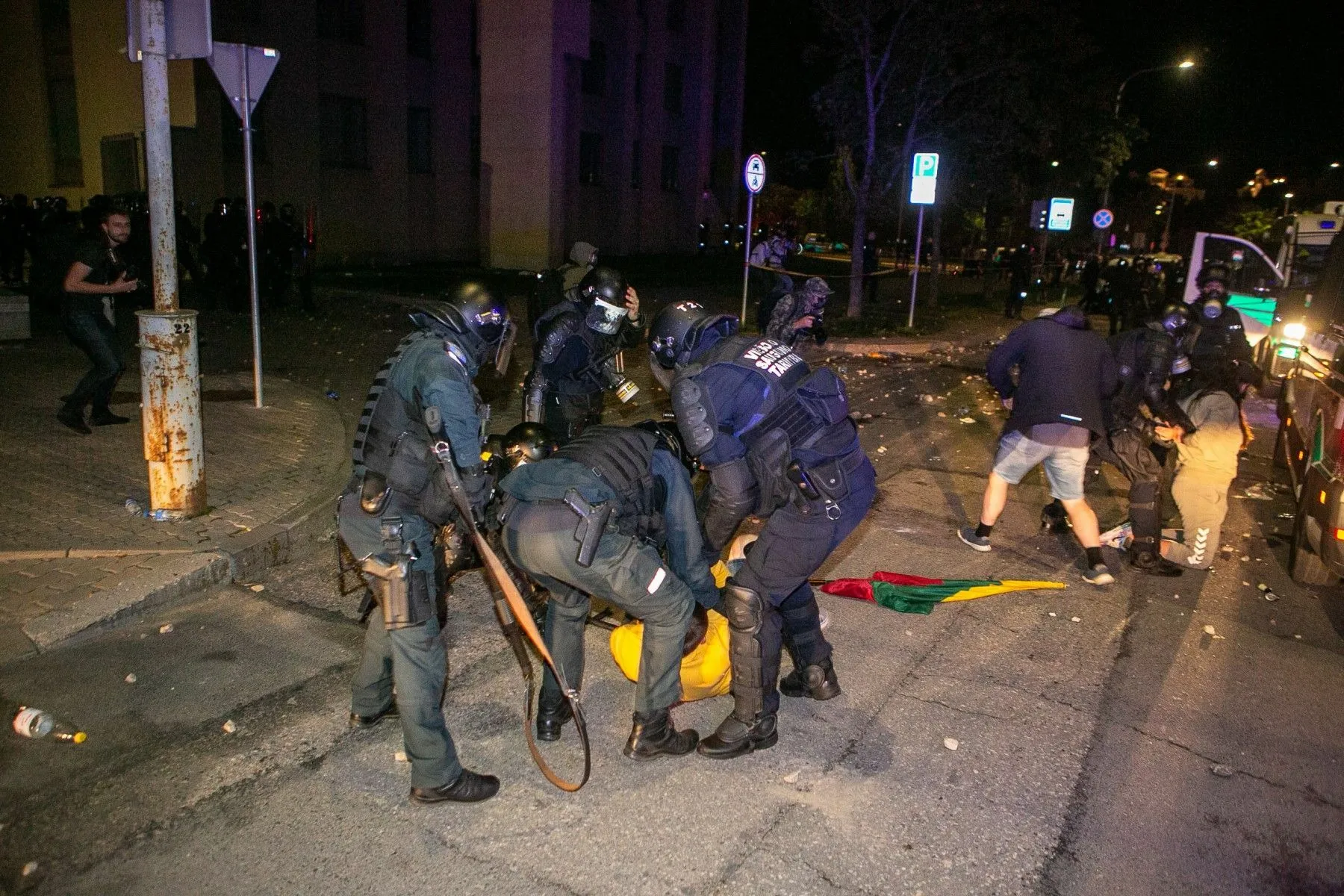 Riaušės prie Seimo / DELFI nuotr.