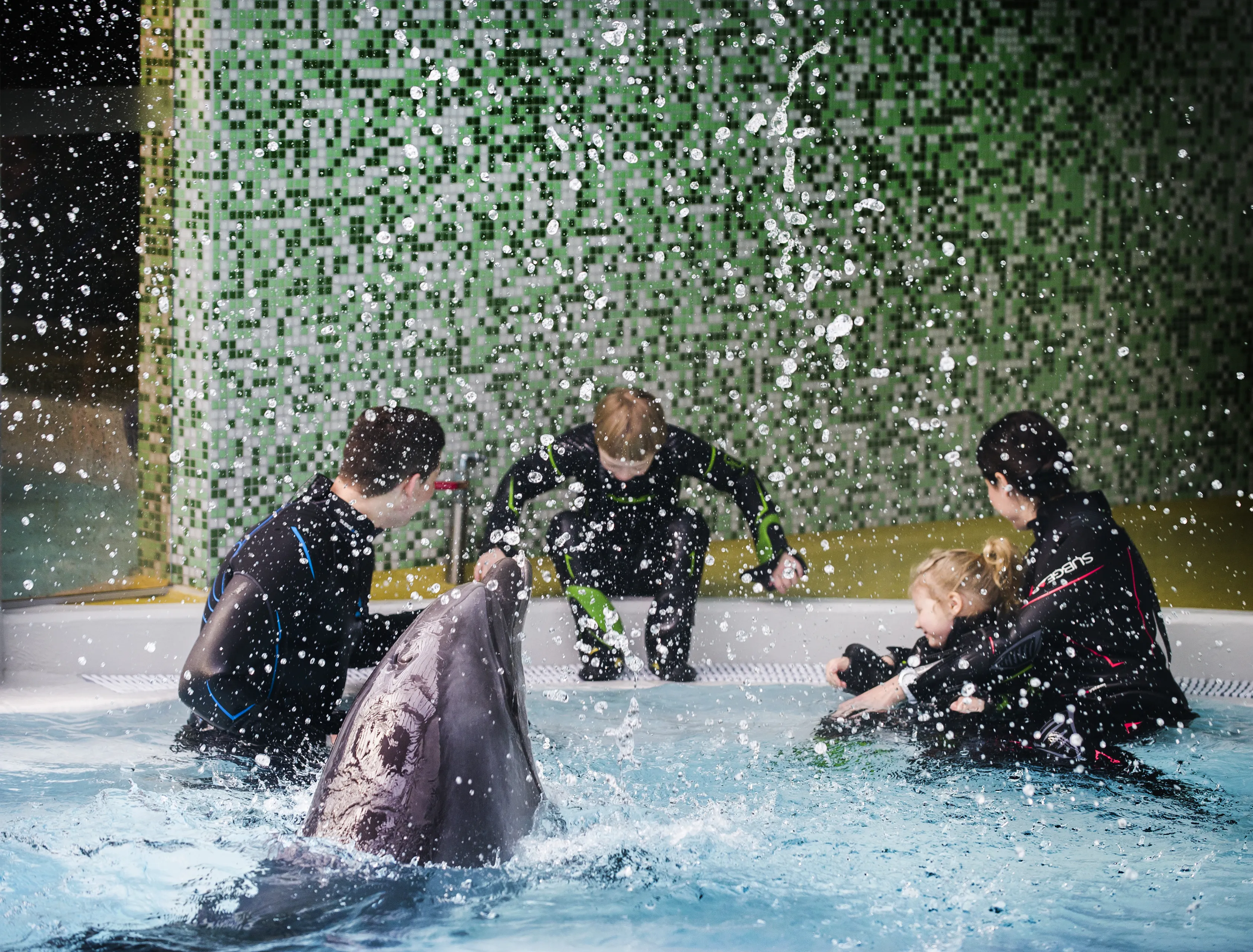 Tau ledai, o jiems delfinų pagalba