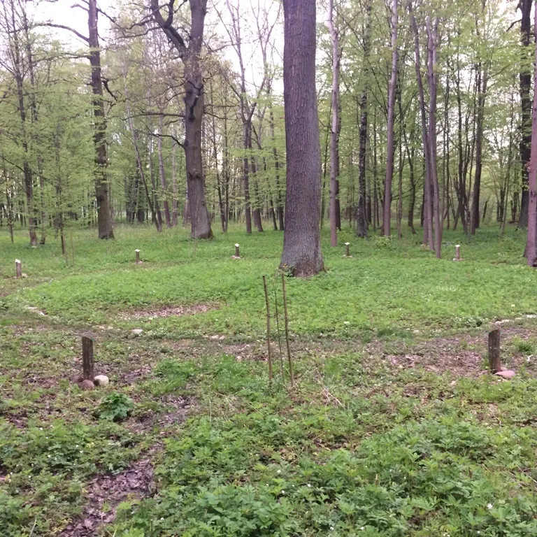 Perkūno ąžuolo riedulių kalendorius./ Asmeninio albumo nuotr.