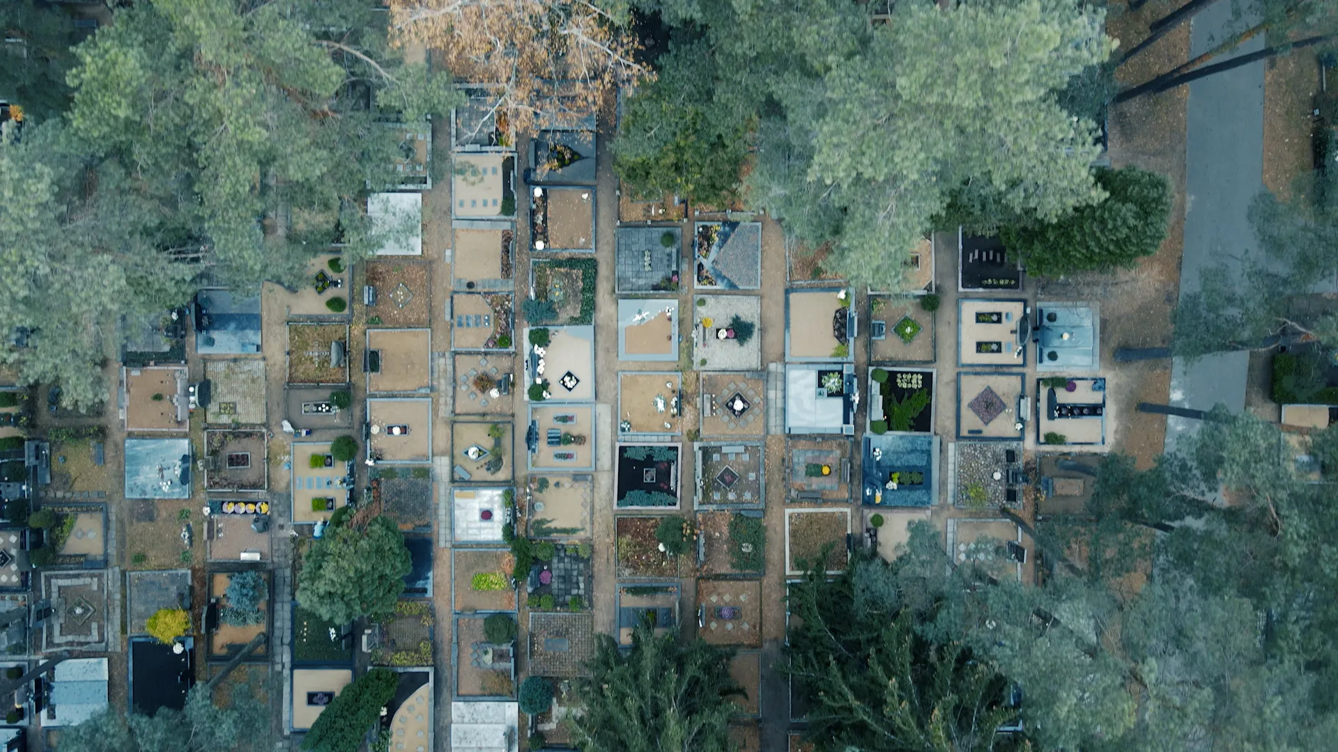 KVK Brigitos kapinės.00_14_28_21.Still036