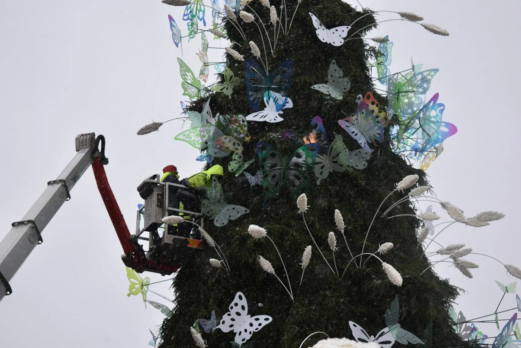 Tvarkoma padegta Kauno eglutė