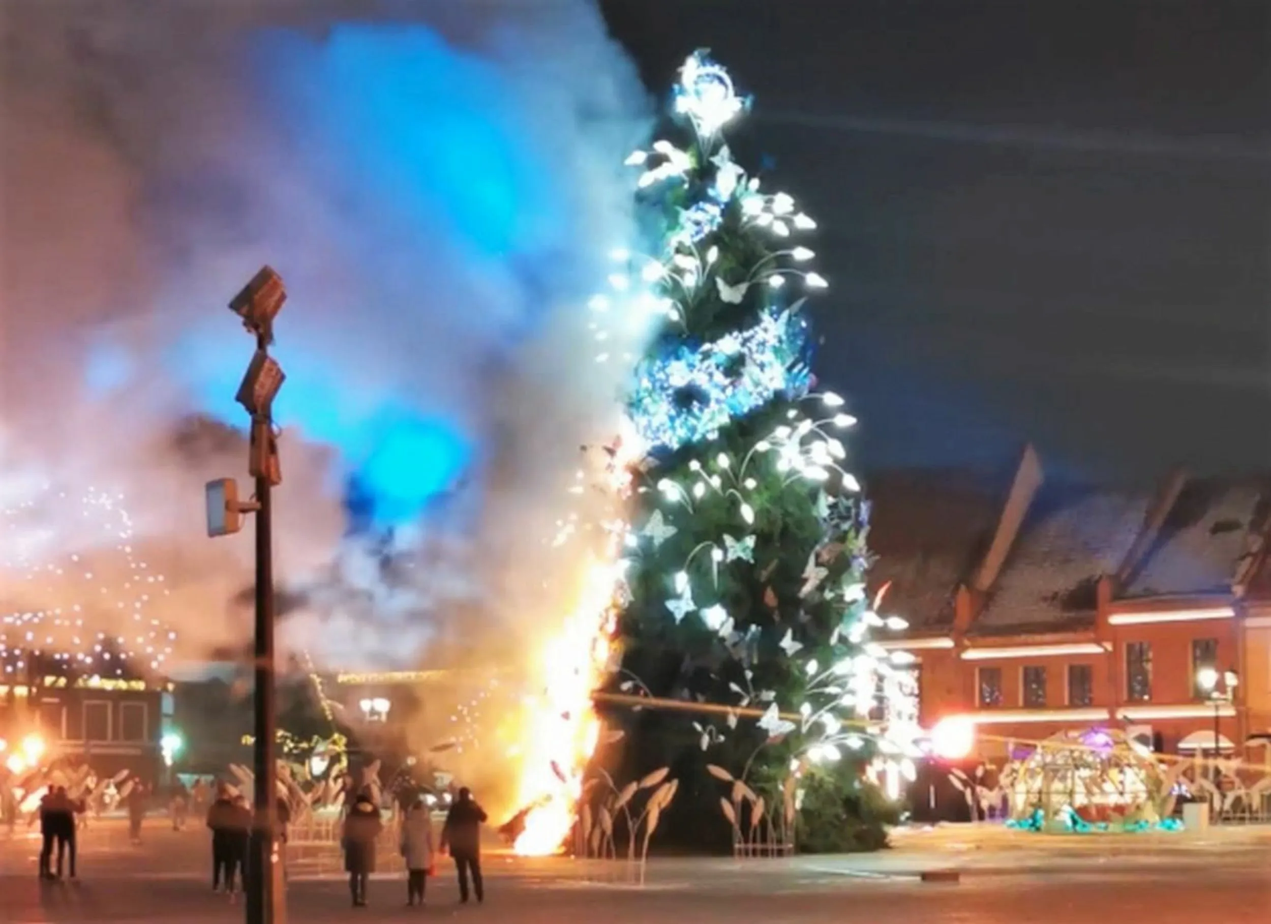 Užsidegė Kauno kalėdinė eglė