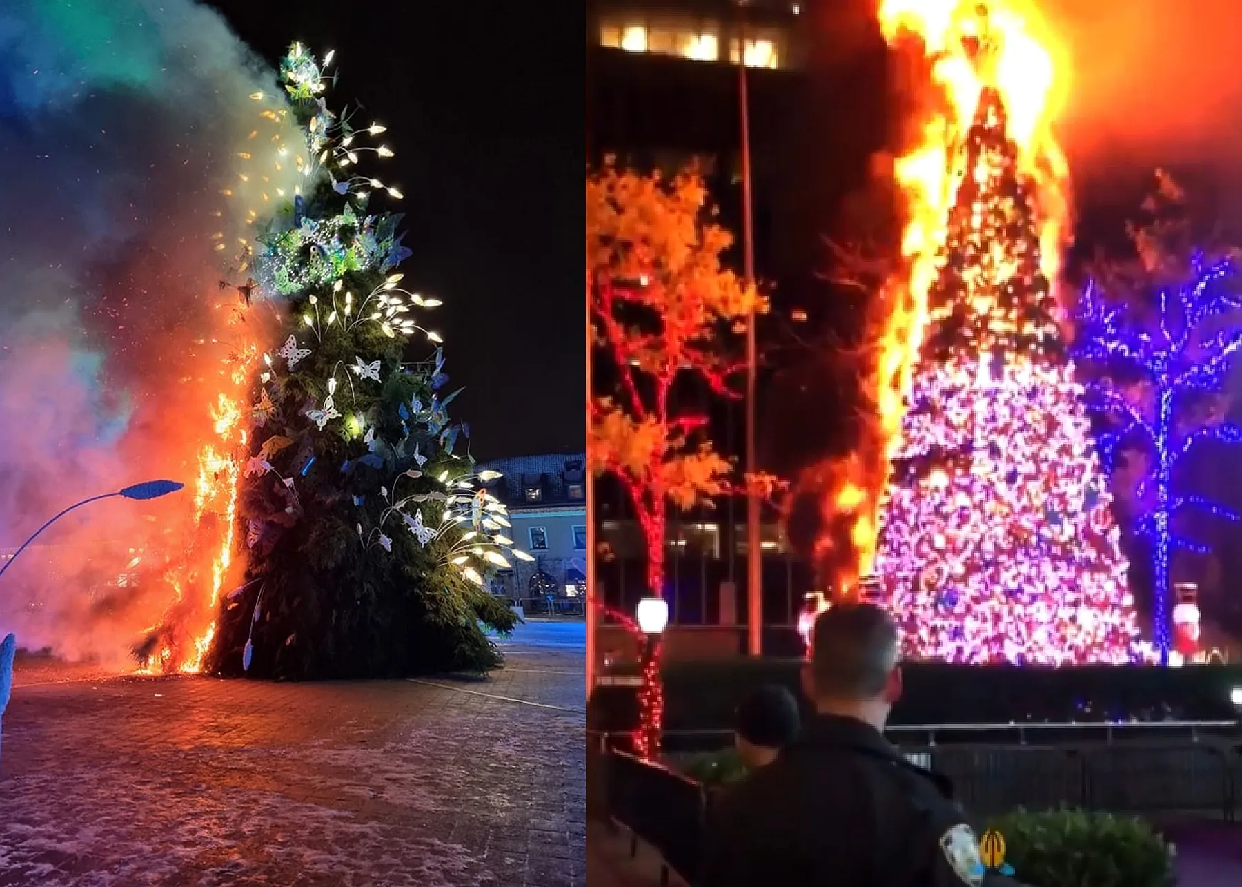 Kauno ir Niujorko deganti eglė