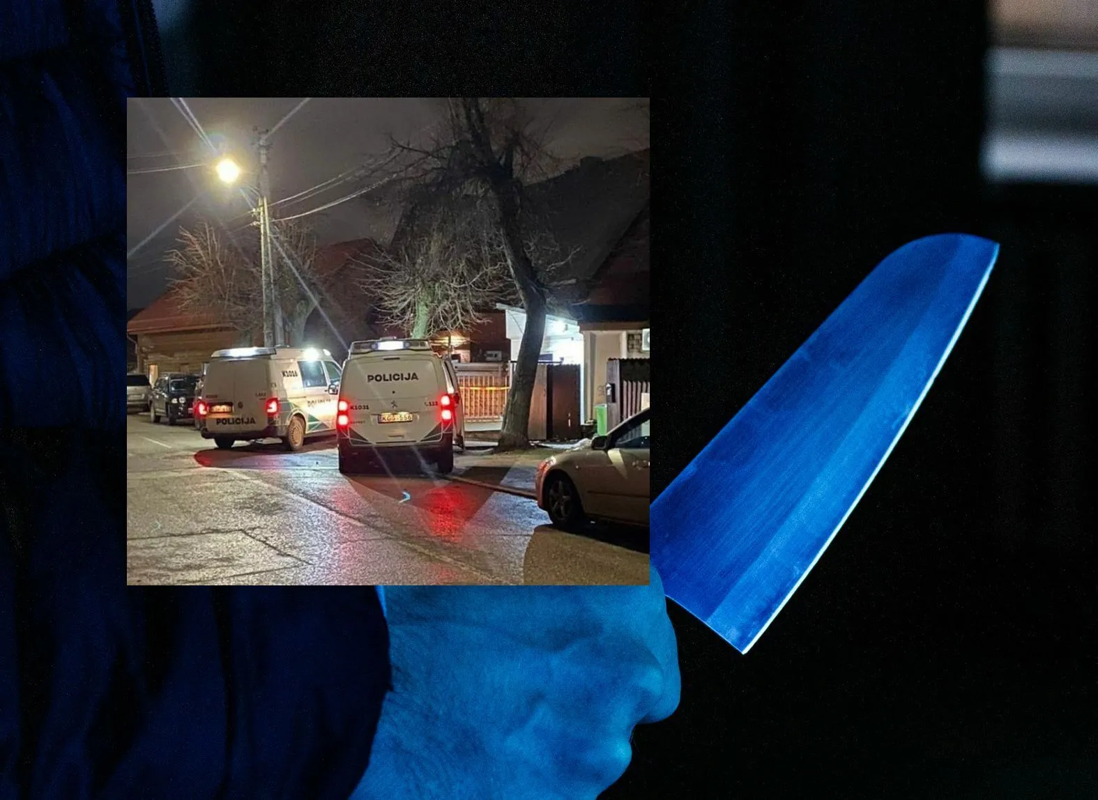 Parduotuvė Telšių gatvėje