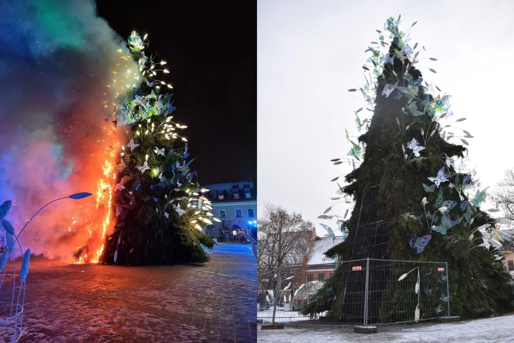 Padegta Kalėdų eglutė