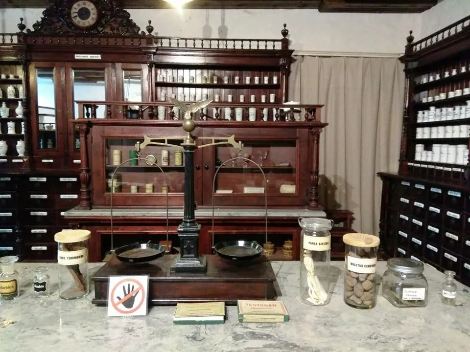 273695194_4848924315199803_7539507415515947234_n