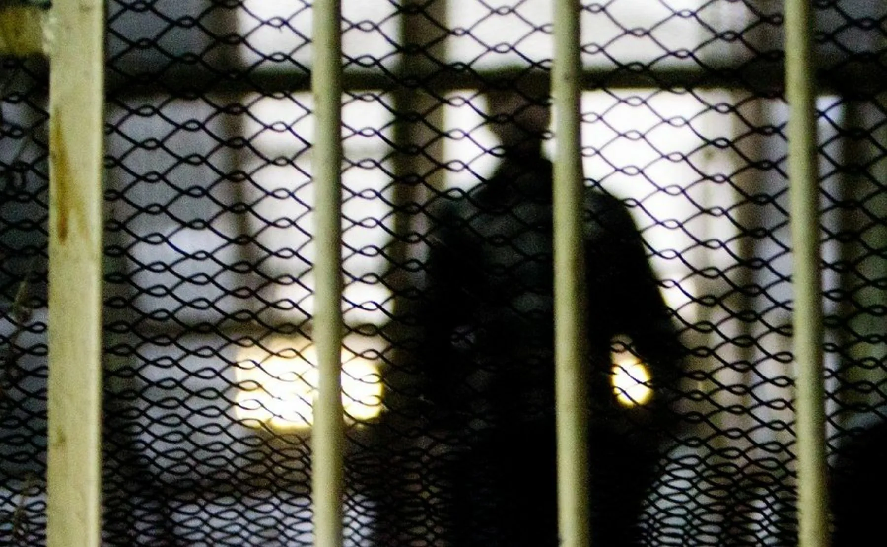 Kalėjimas, grotos, nuteistieji