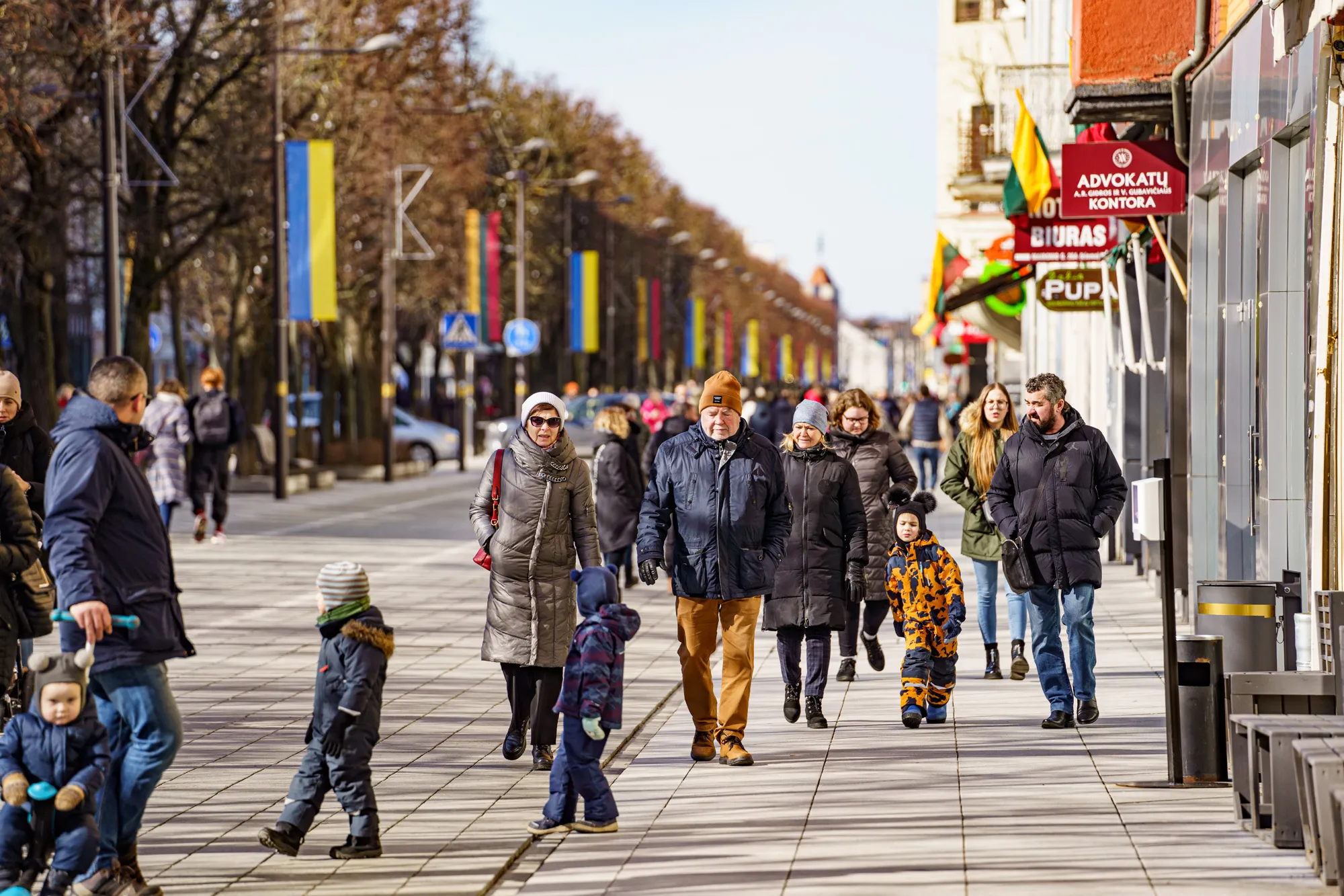 Kovo 11-osios minėjimas karo sodelyje