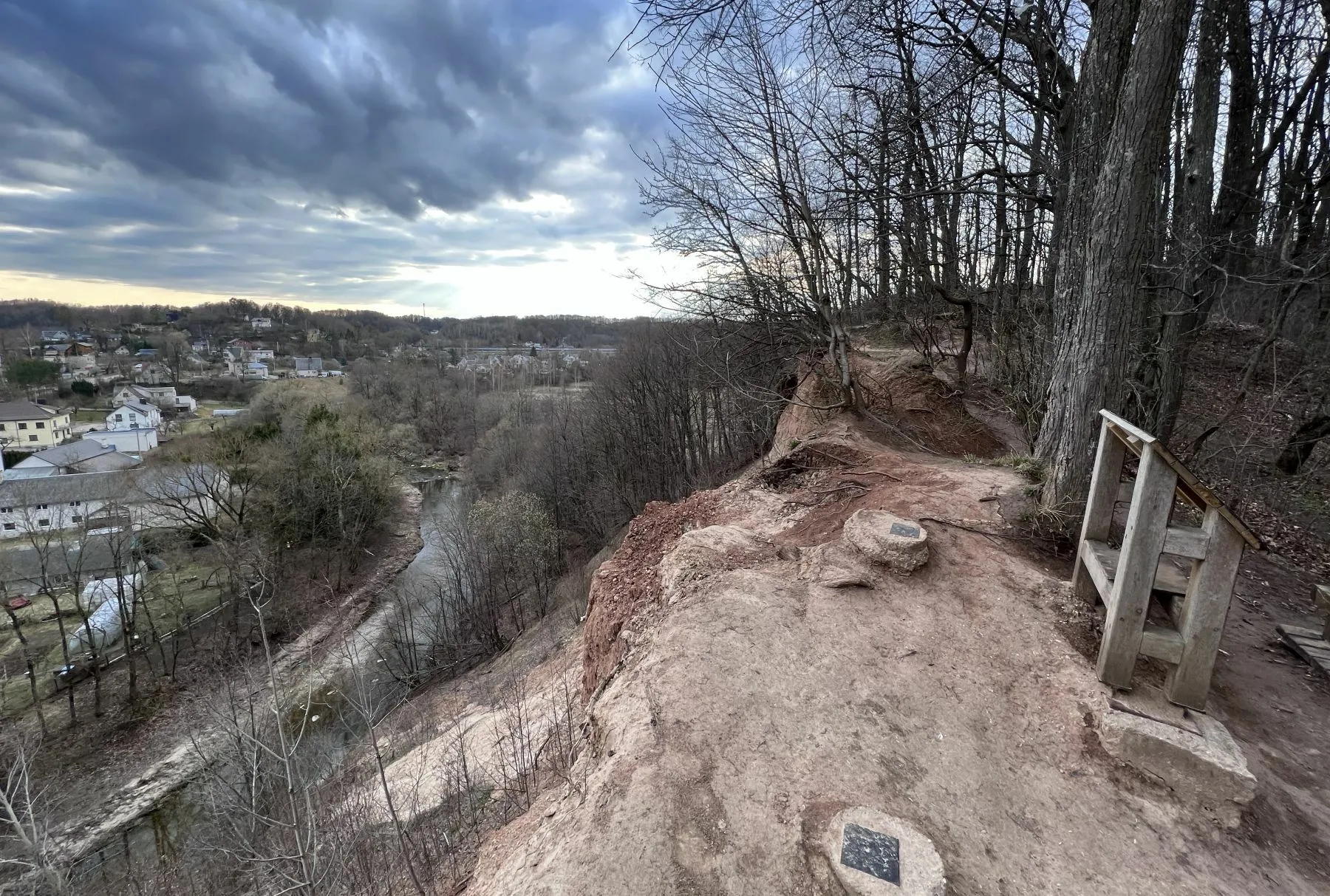 Jiesios draustinio ąžuolas