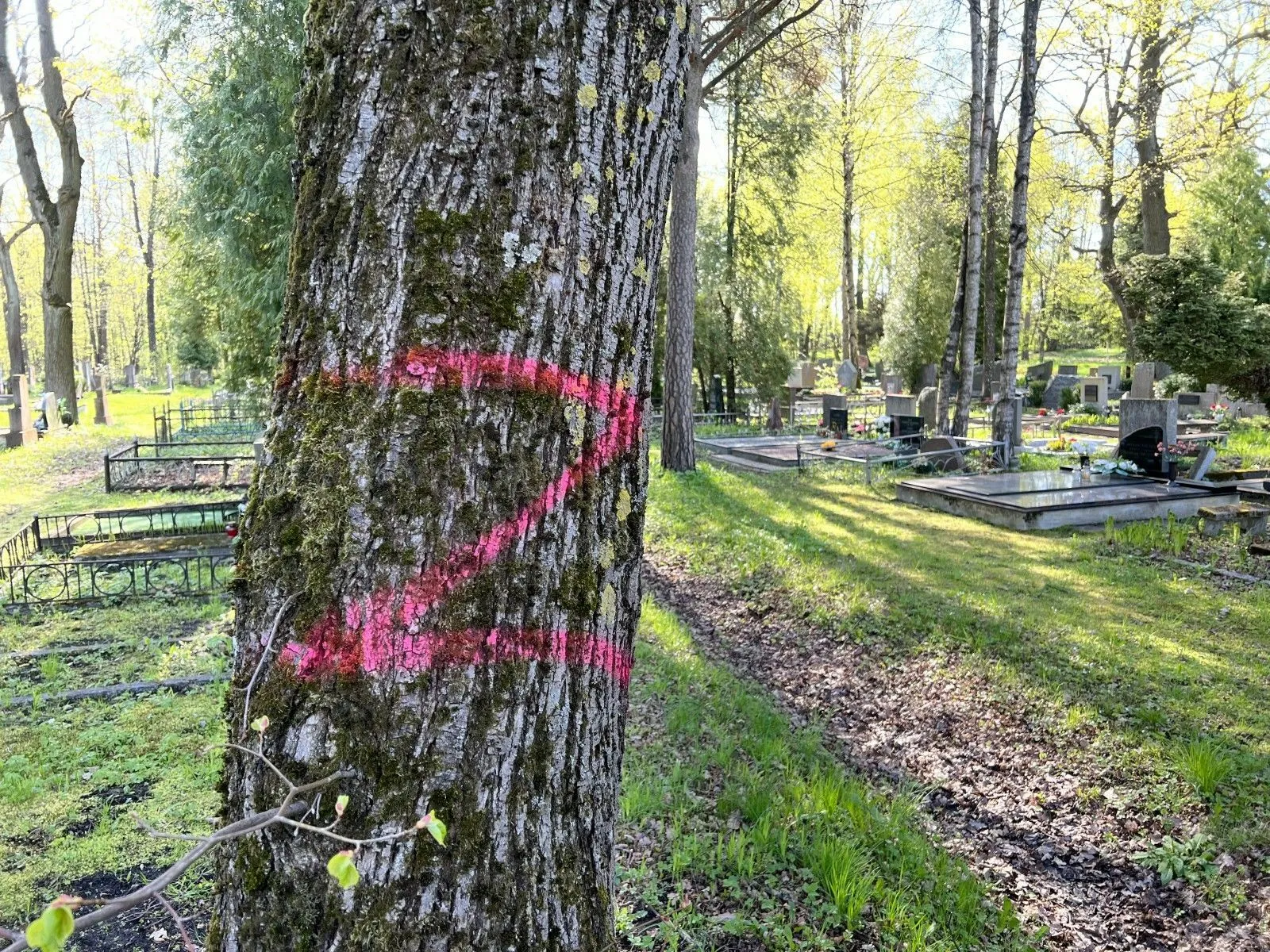 Aukštųjų Šančių karių kapinėse – draudžiami naudoti simboliai / DELFI nuotr.