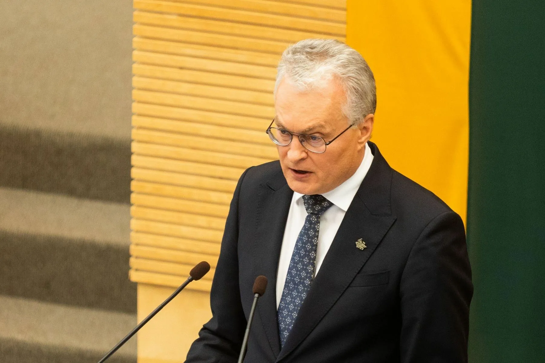 G. Nausėda skaitė metinį pranešimą / DELFI nuotr.