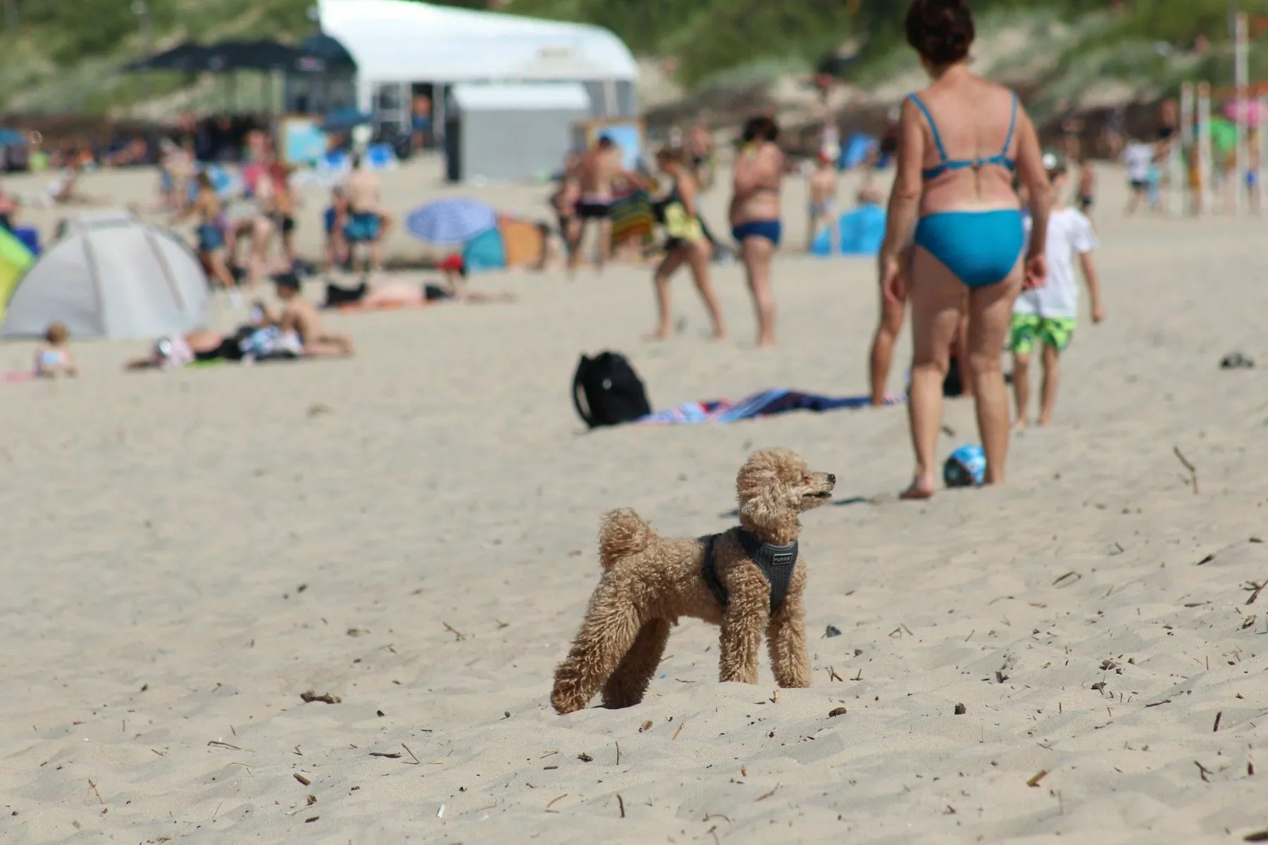 Karšta savaitė prie Baltijos jūros / DELFI nuotr.