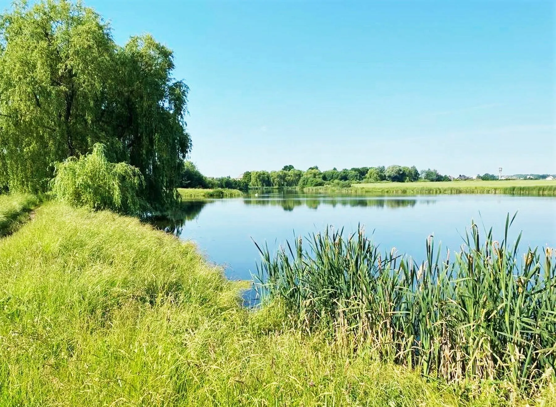 Garliavoje siūlo įrengti tvenkinį