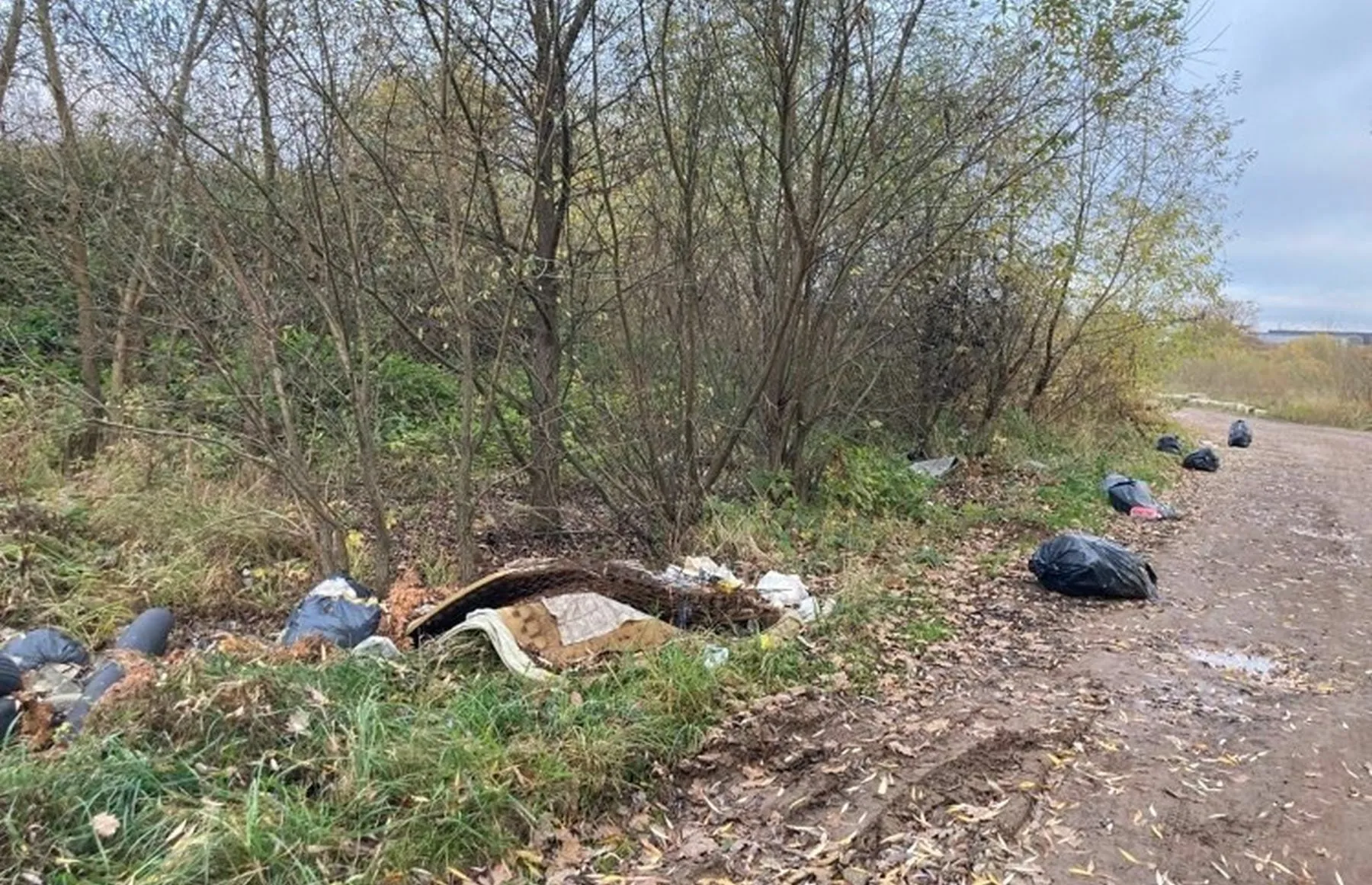 Šiukšlės Romainiuose