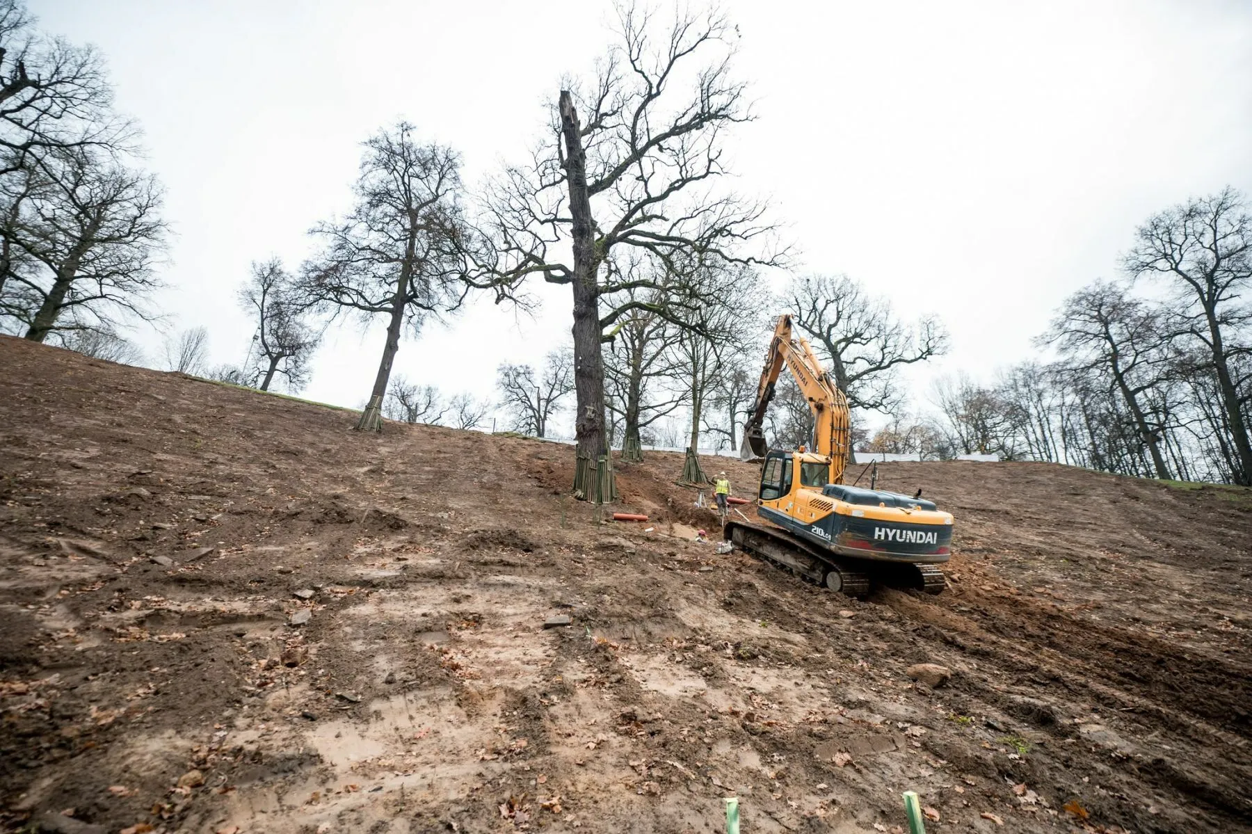 Dainų slėnio rekonstrukcija