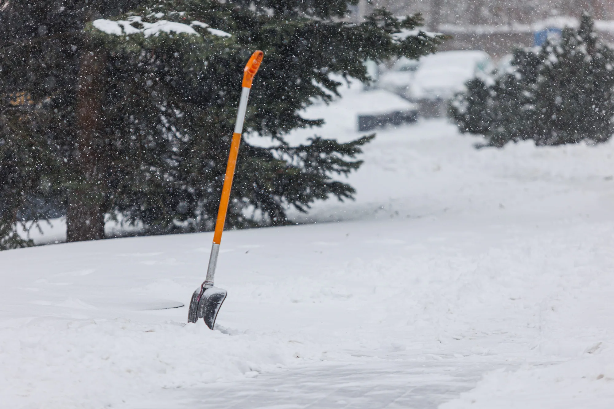 Gausus sniegas Kaune