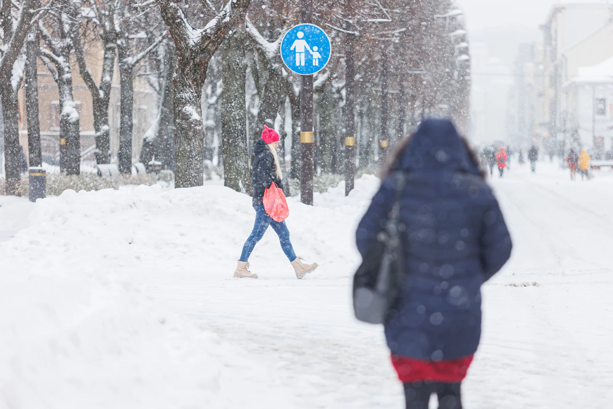 Gausus sniegas Kaune