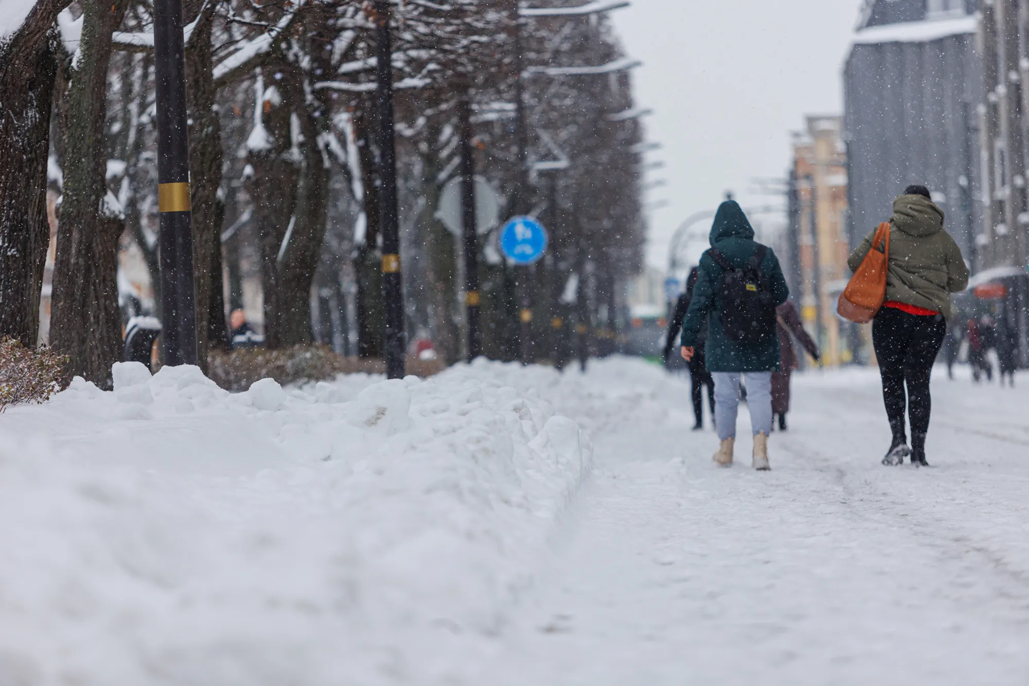 Gausus sniegas Kaune