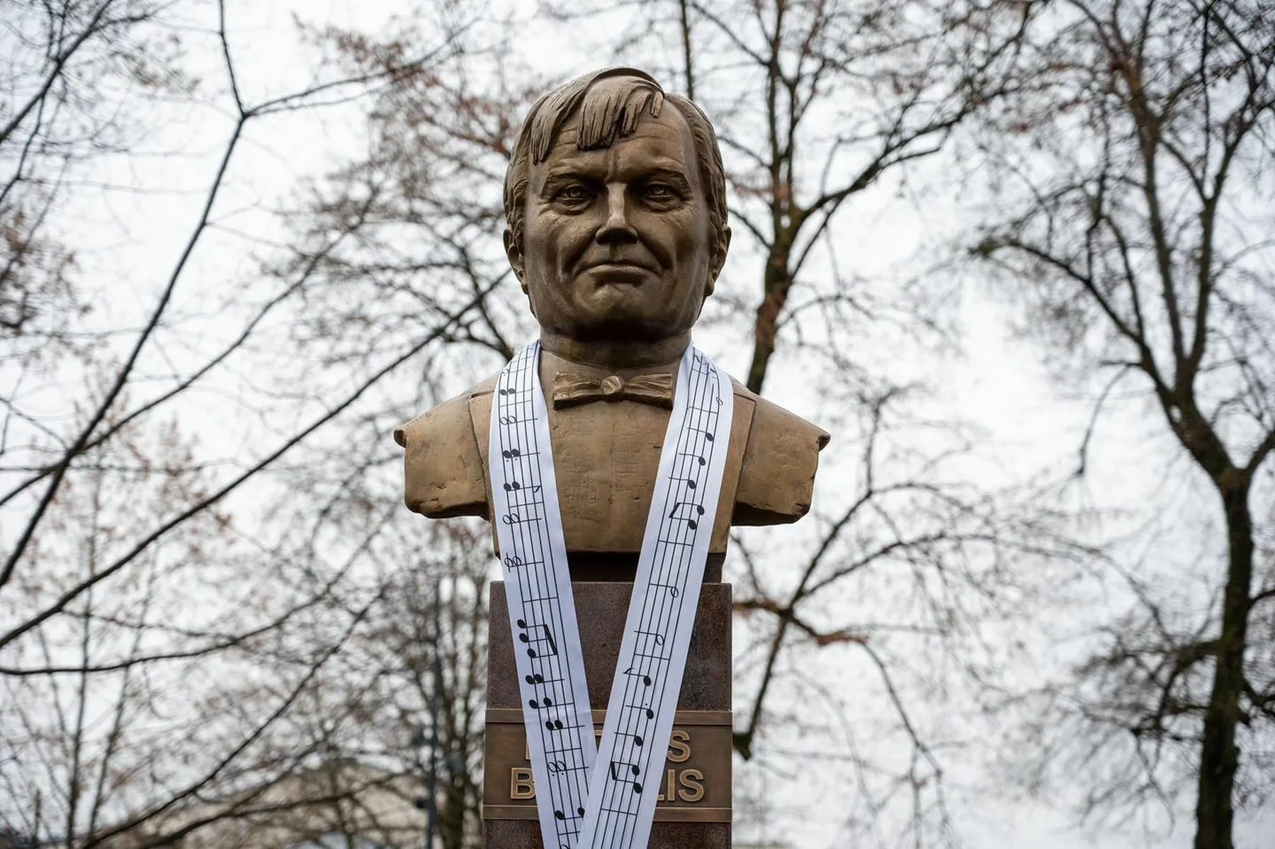 Petro Bingelio biustas