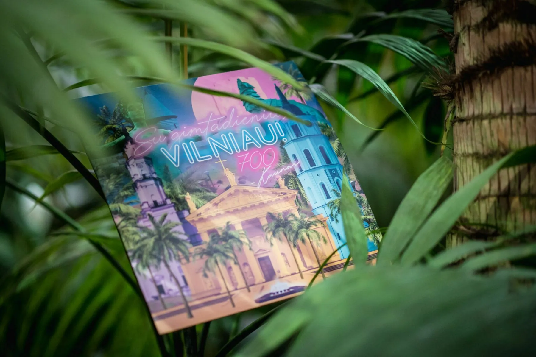 polokštelė Vilniui