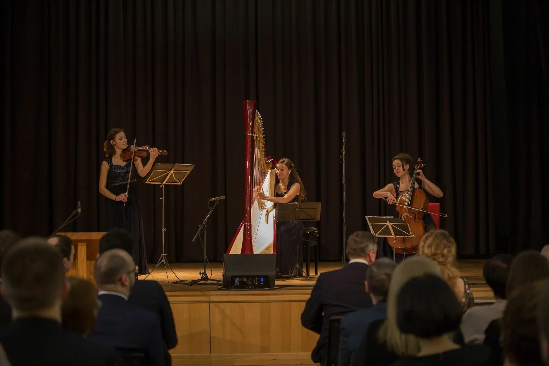 Valstybės atkūrimo dienos paminėjimo labdaros pokylis / R. Damkevičiaus nuotr.