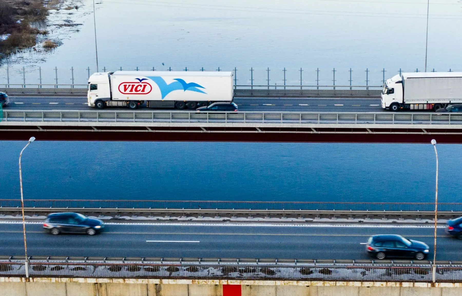 Vičiūnų grupė, viči