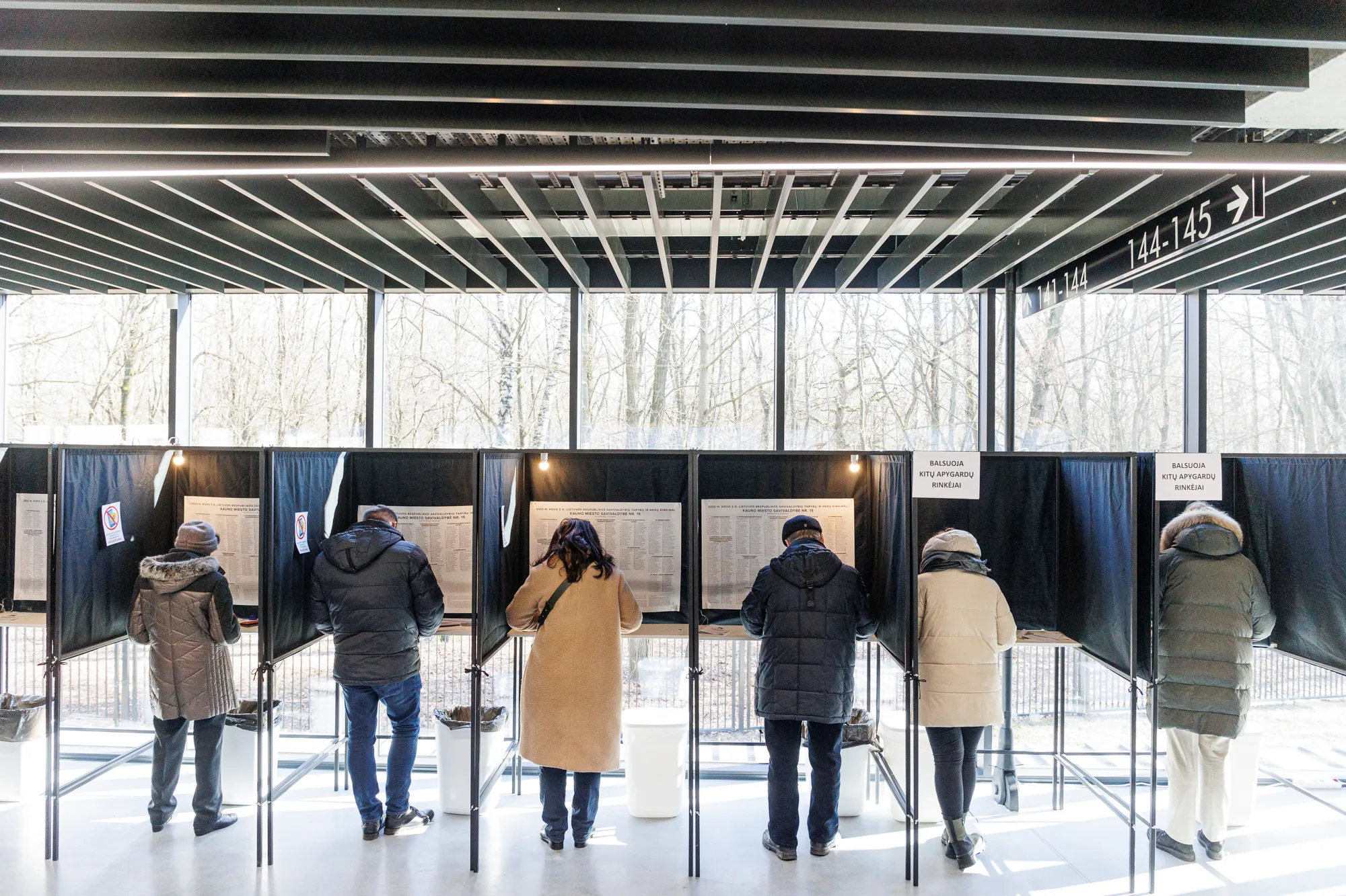 Išankstiniame balsavime dalyvavo V. Matijošaitis