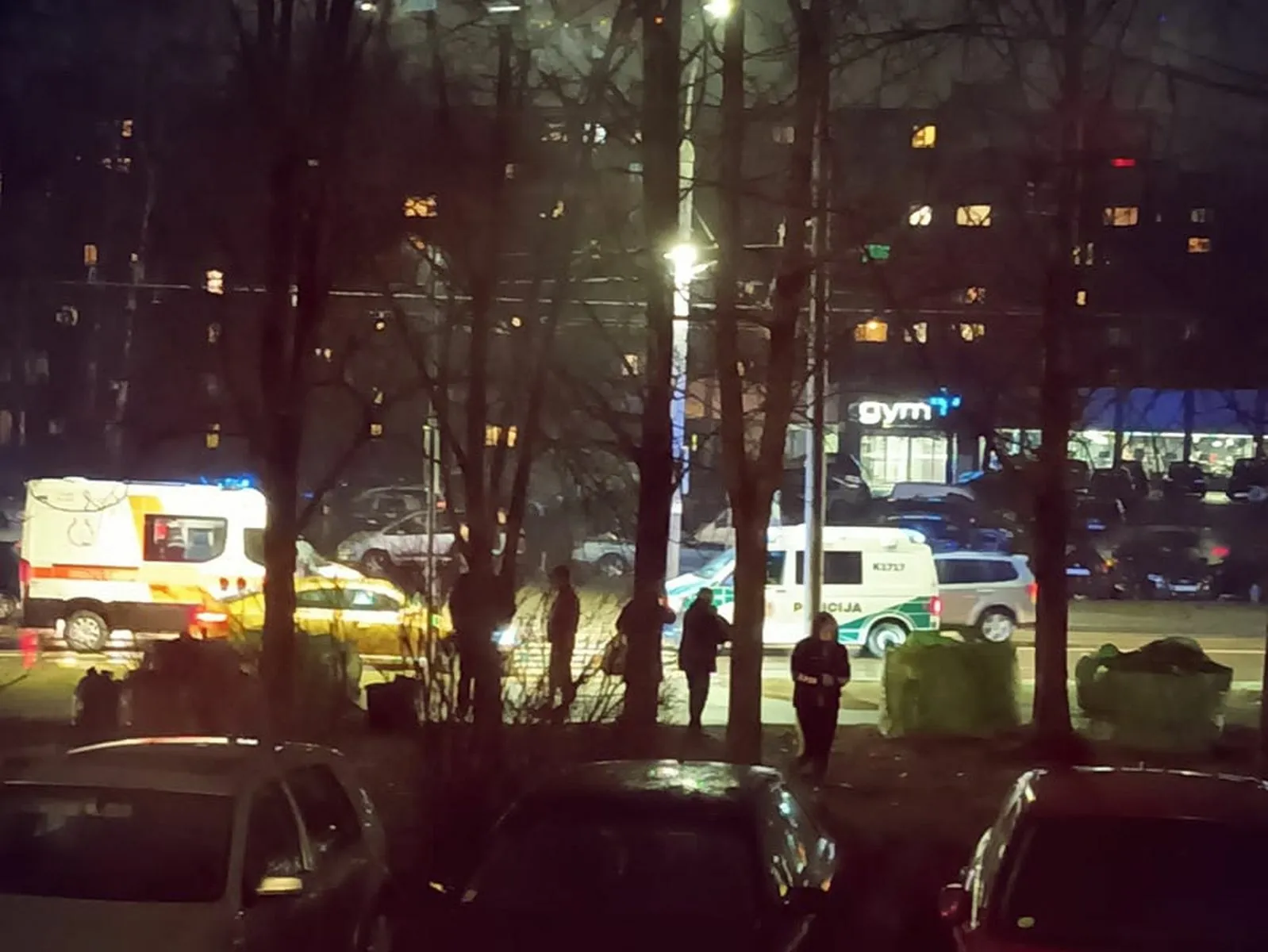 Partrenkta pėsčioji Krėvės pr.