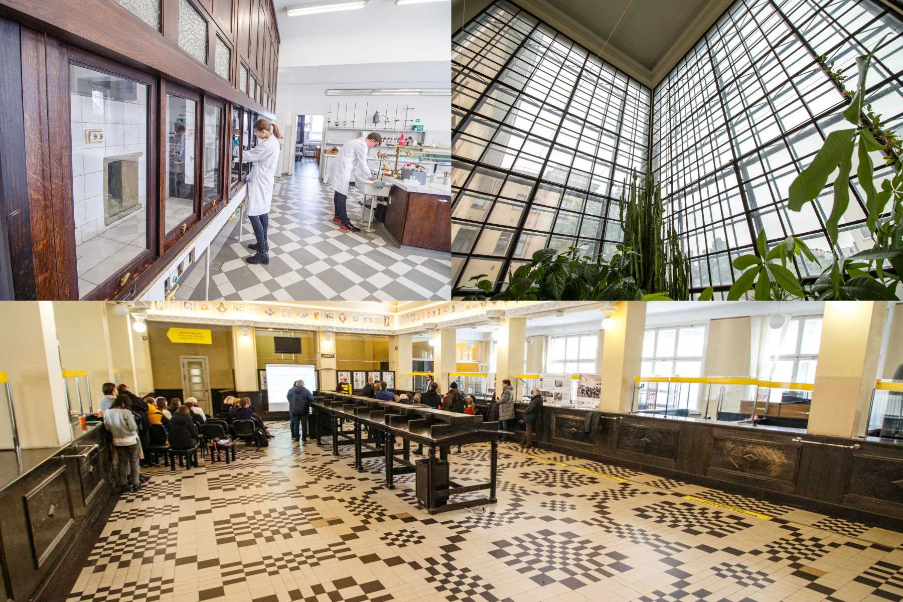 Tarpukario architektūra Kaune