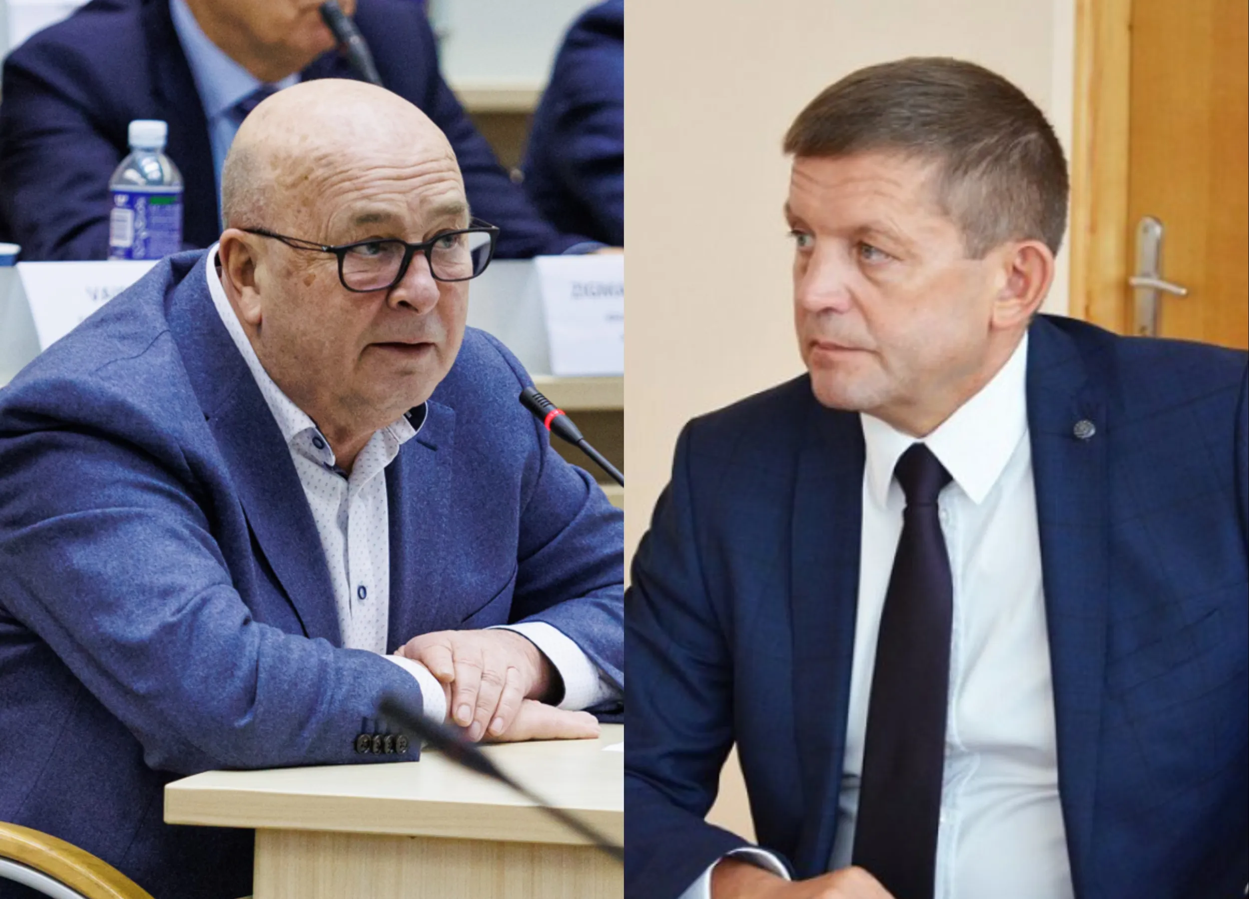 Visvaldas Matijošaitis , Zdislav Palevič