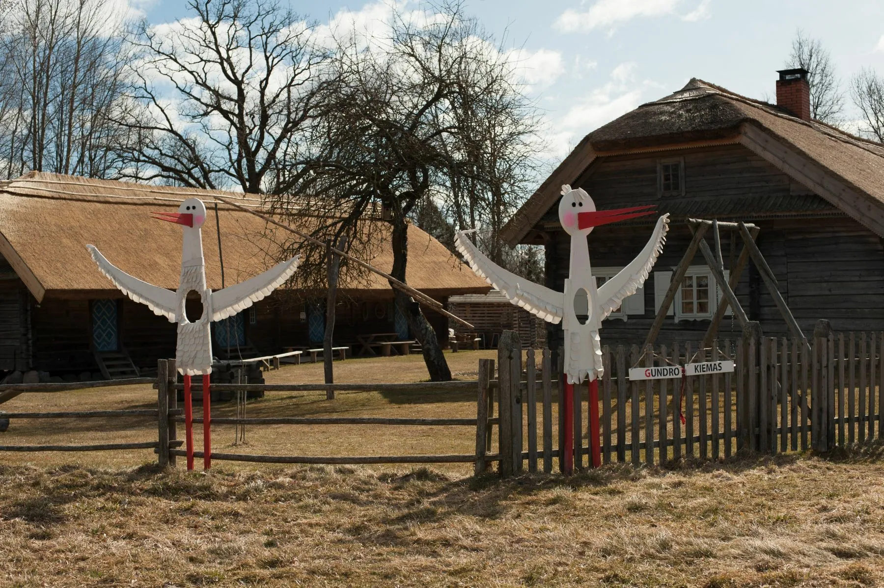 Rimgaudo Žaltausko nuotrauka. Gandrinės 2022