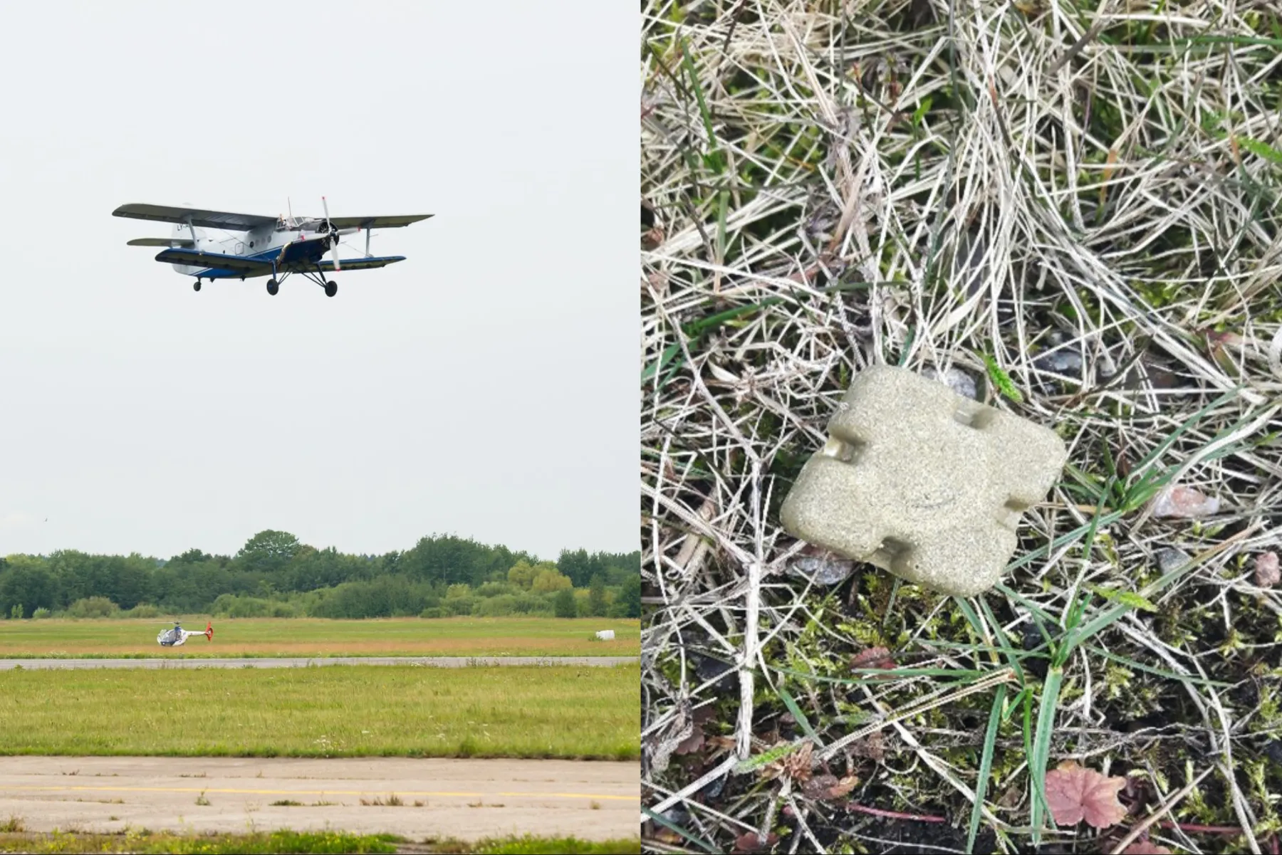 vakcina nuo pasiutligės