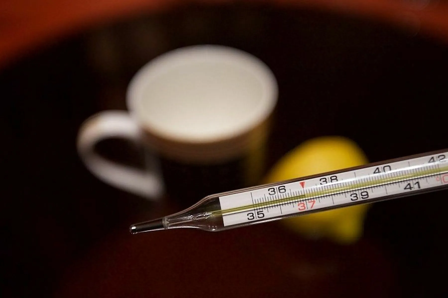 Termometras, peršalimas, gripas