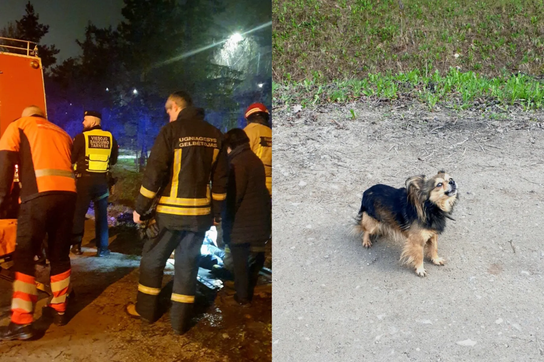 išgelbėtas žmogus