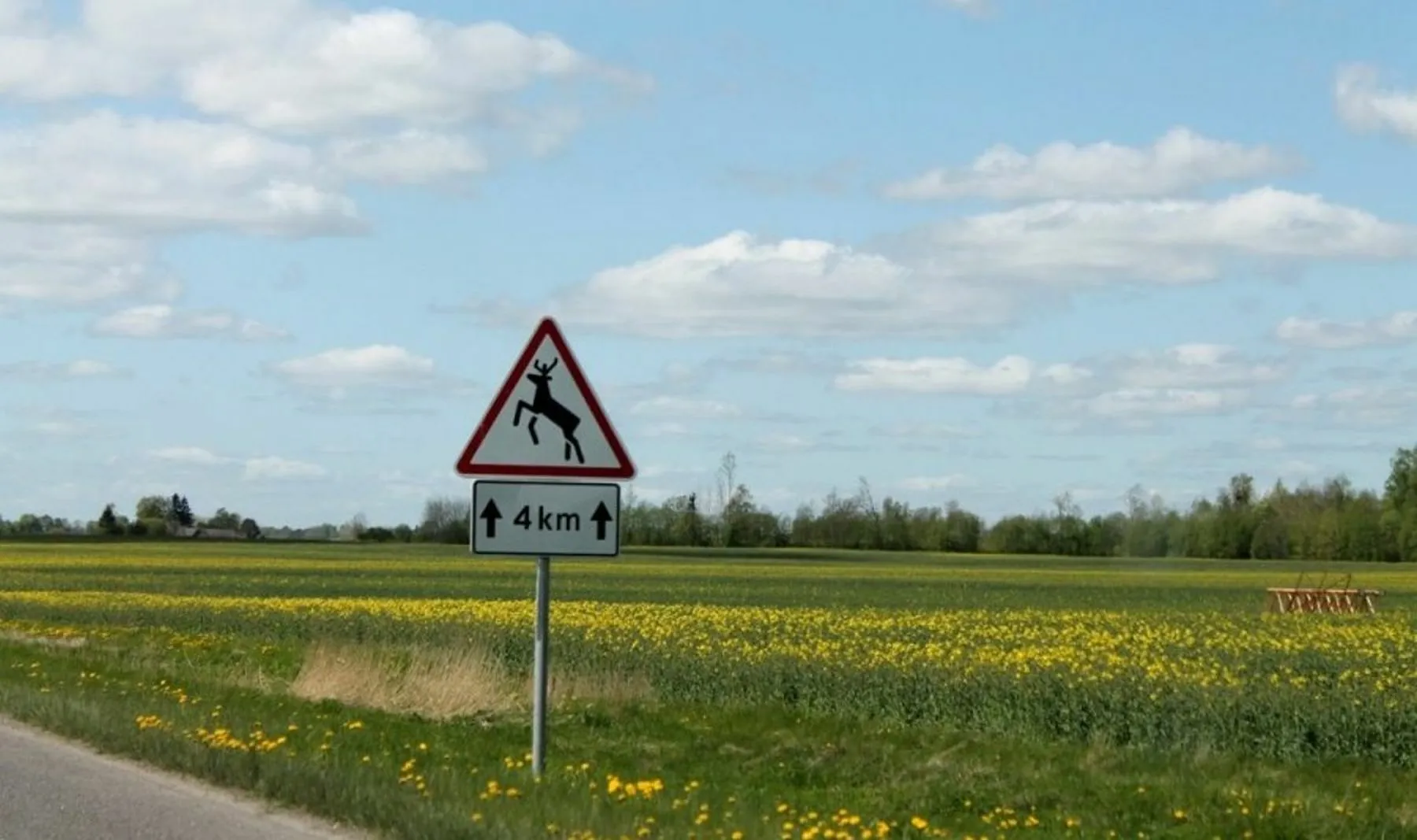 Gyvūnų migracija, laukiniai gyvūnai