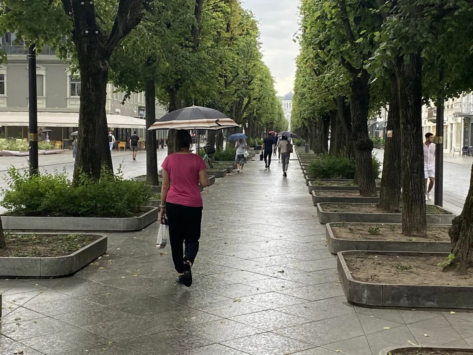 Kaune prapliupo ilgai lauktas lietus