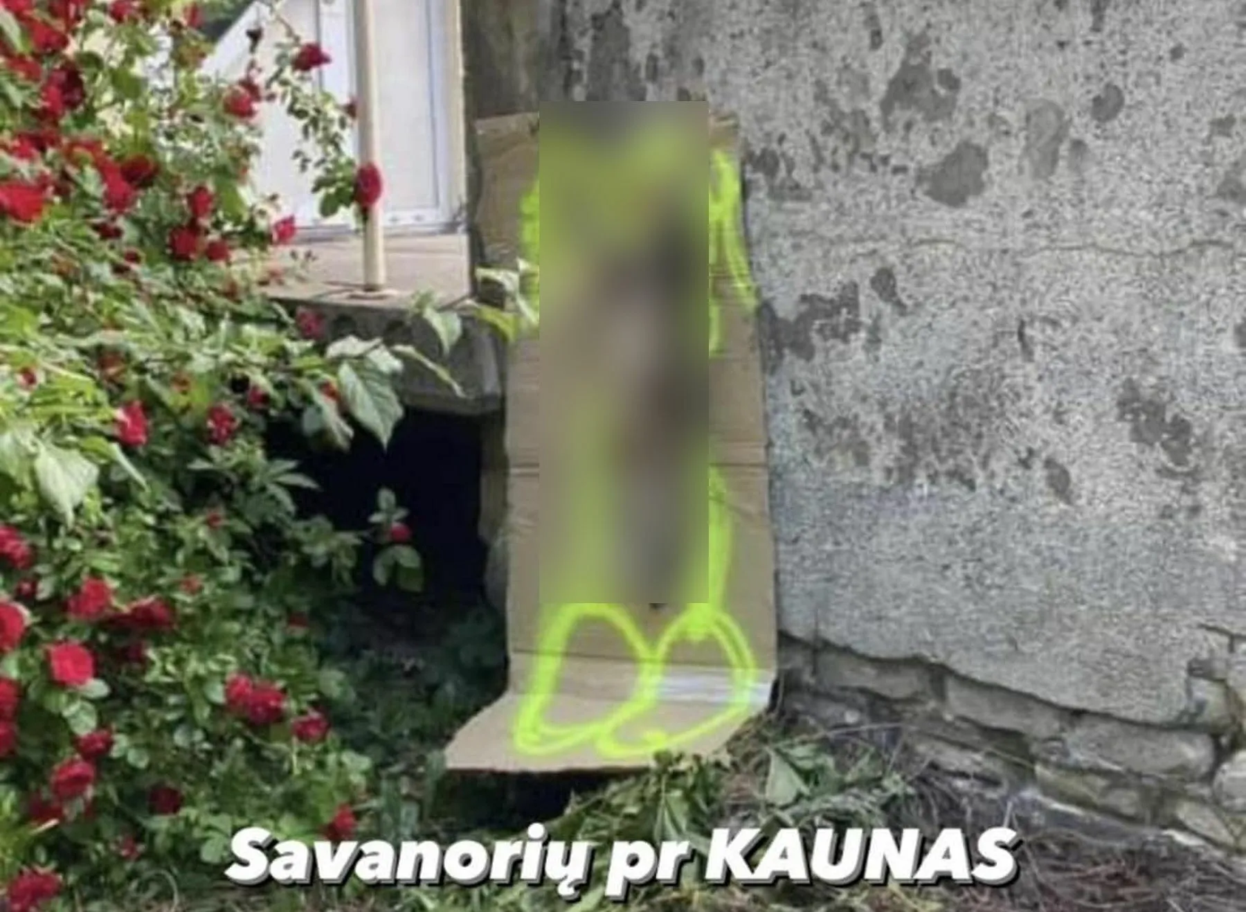 Katino egzekucija Savanorių prospekte
