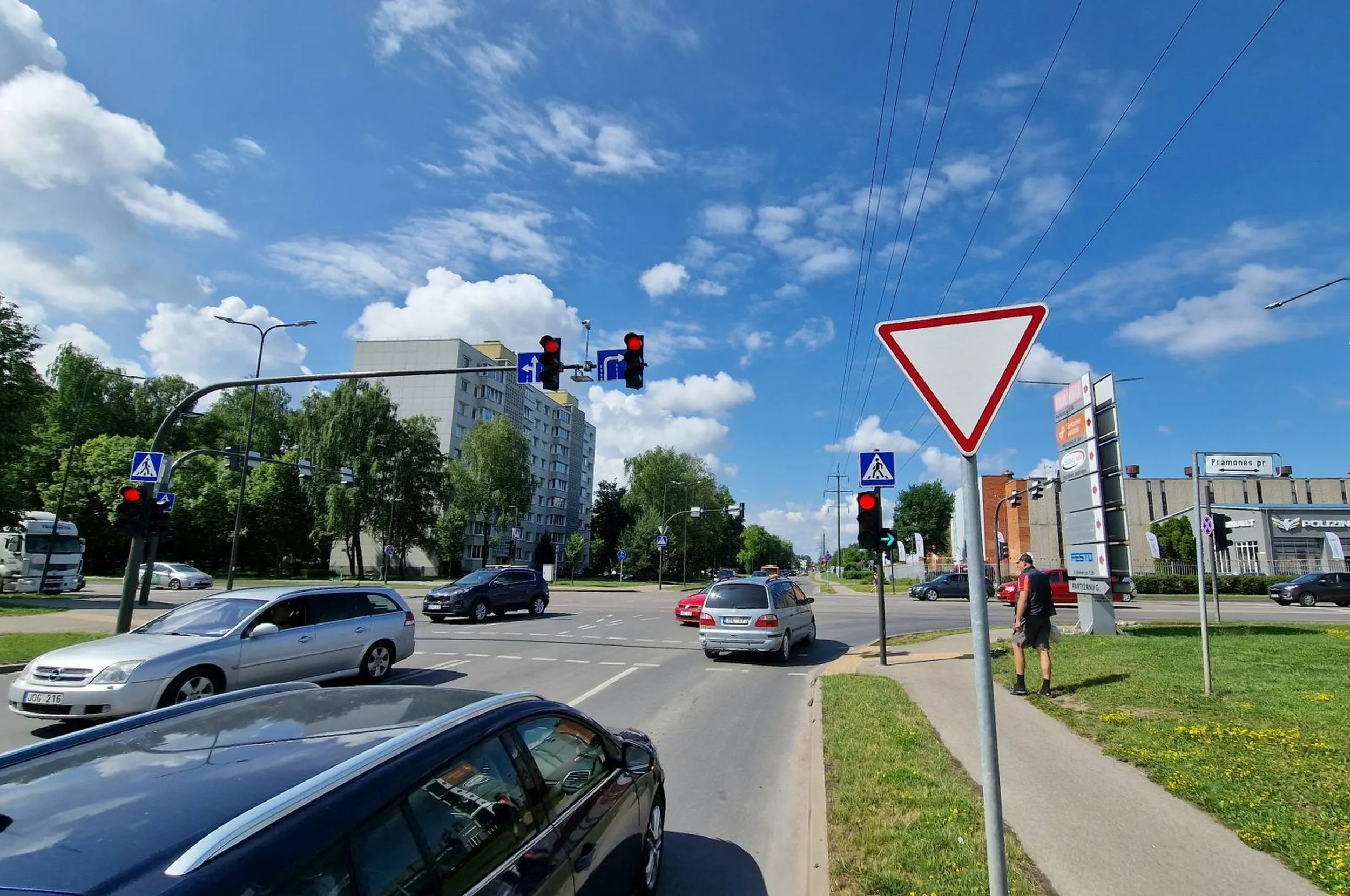 Sankryža su žalia rodykle