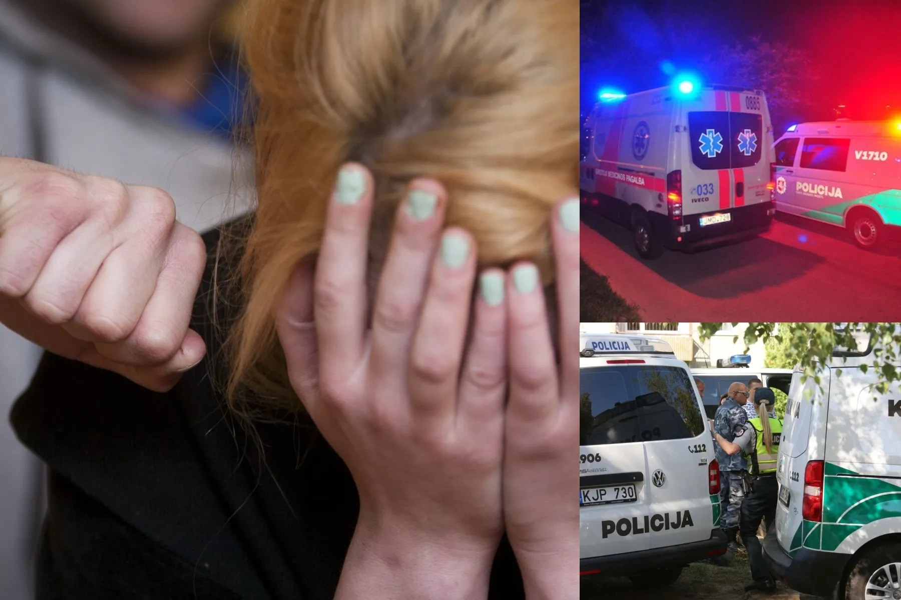 smurtas, grasinimai, policija, greitoji