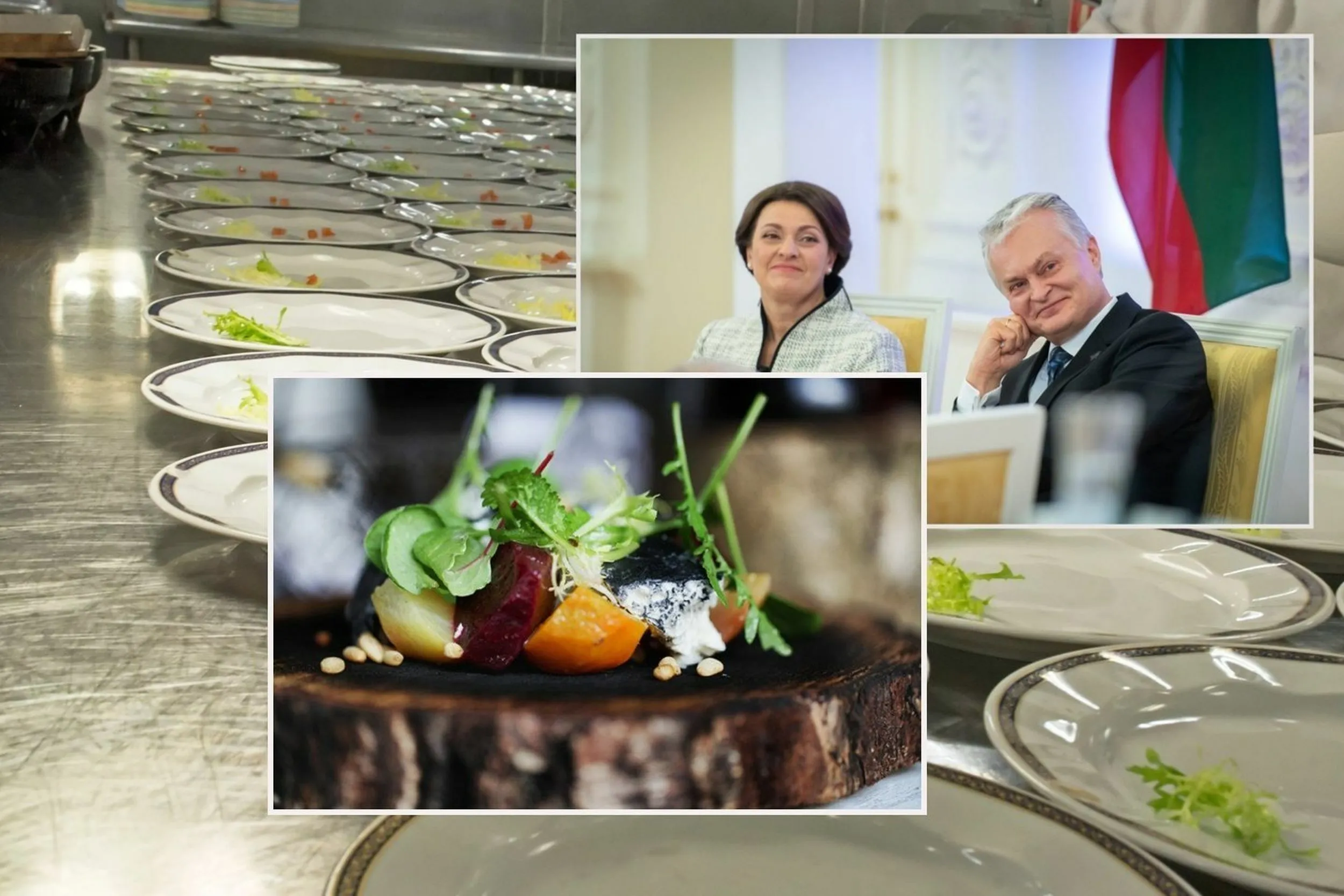 Prezidentūros NATO priėmimas