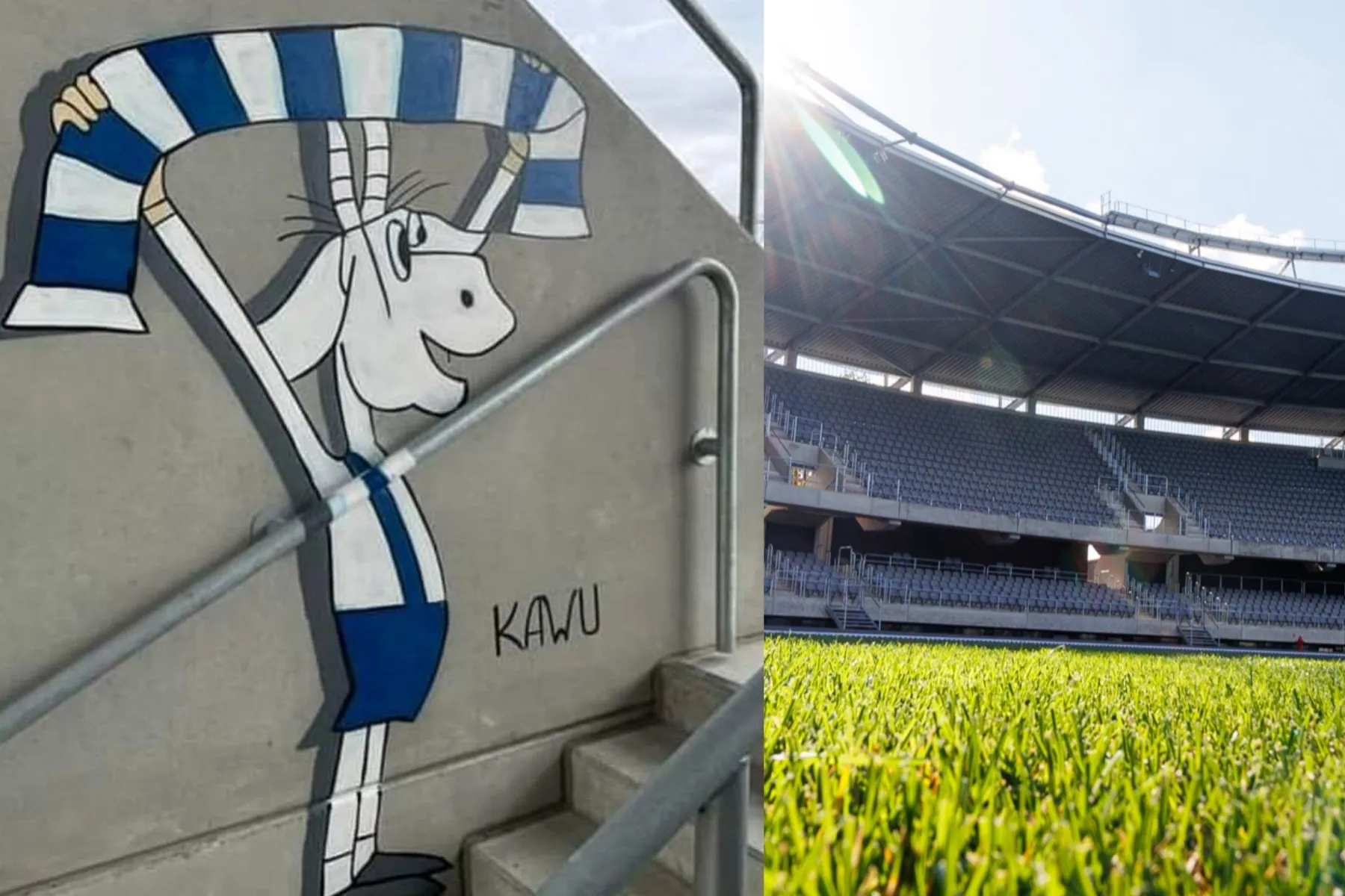 Lenkų sirgalių paliktas ožio piešinys Dariaus ir Girėno stadione