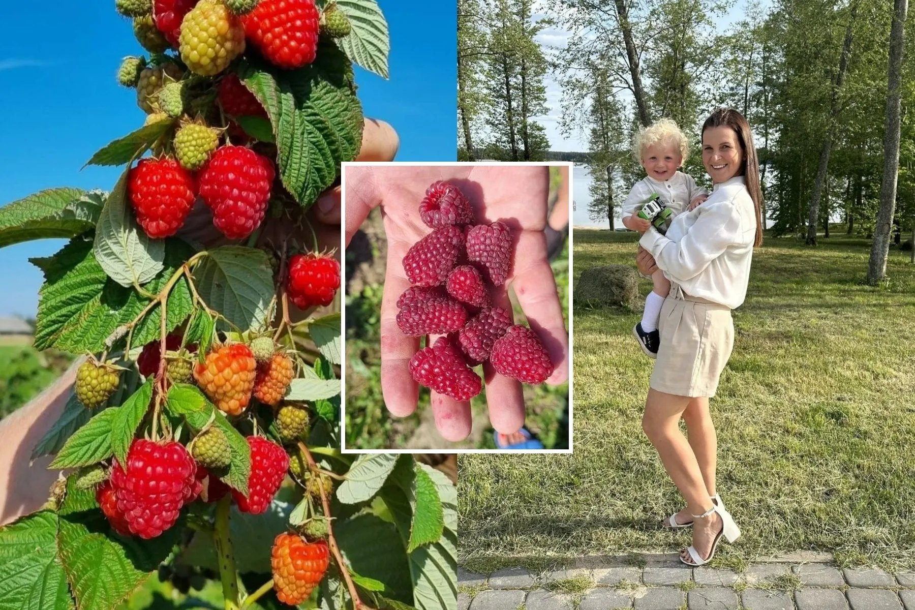 Ūkininkaujanti kaunietė Ieva