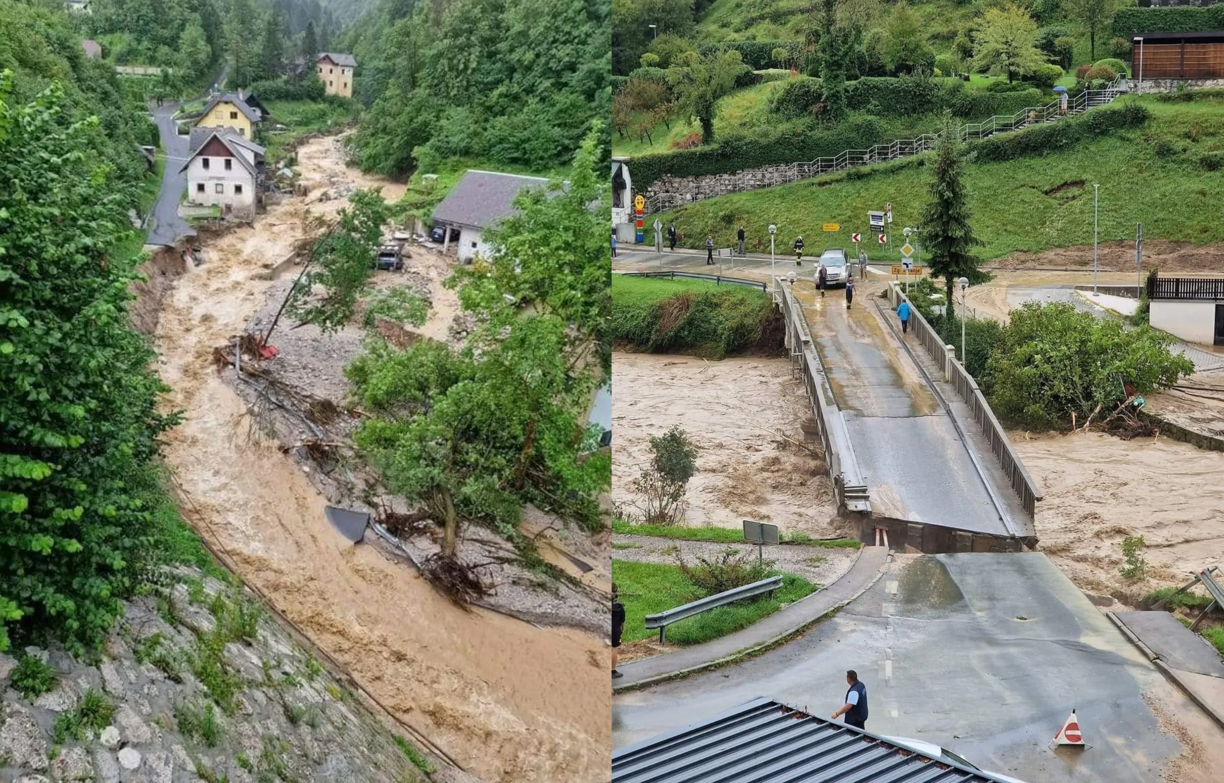 Liūtys Slovėnijoje