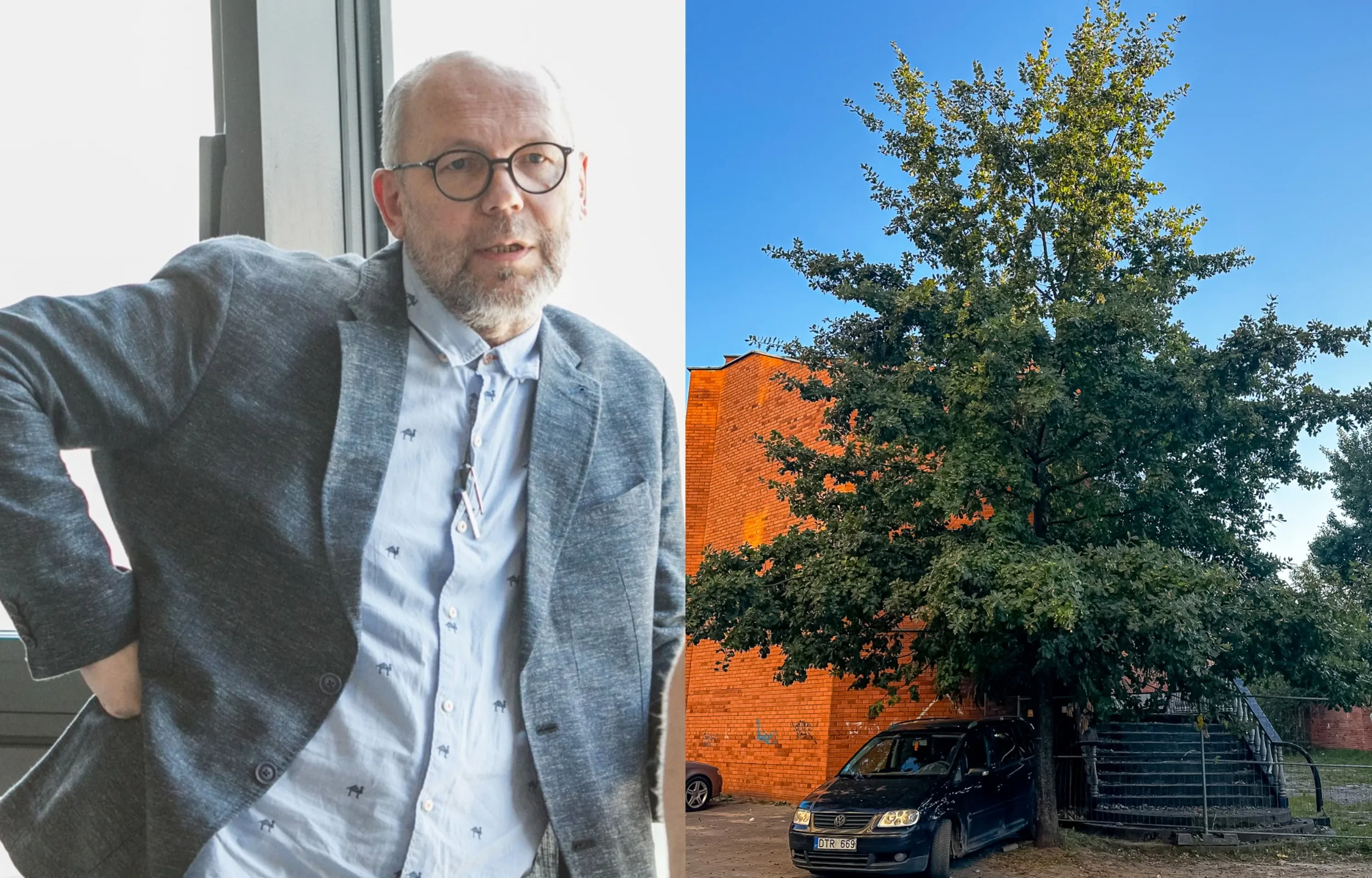 G. Natkevičius, Sąjūdžio ąžuolas