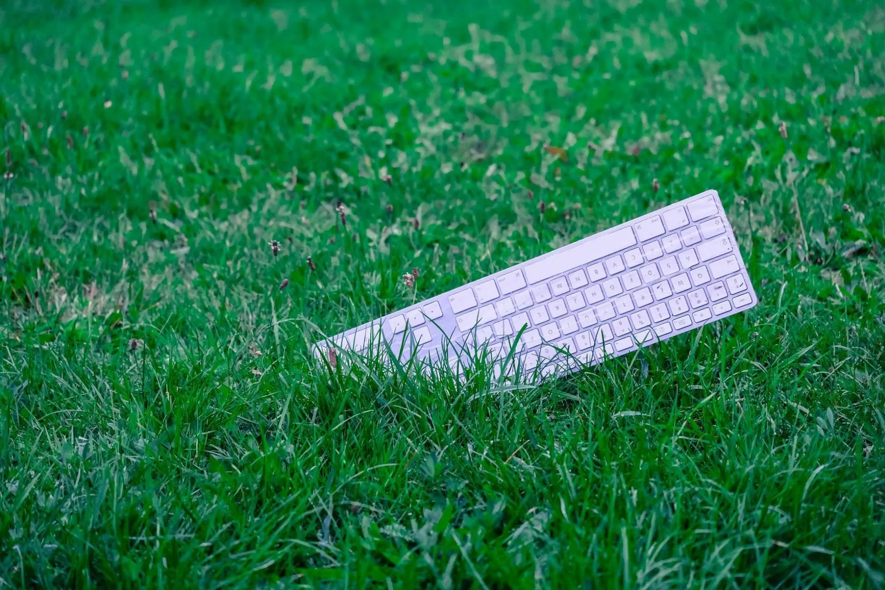 Klaviatūrų mėtymo čempionatas Kaune