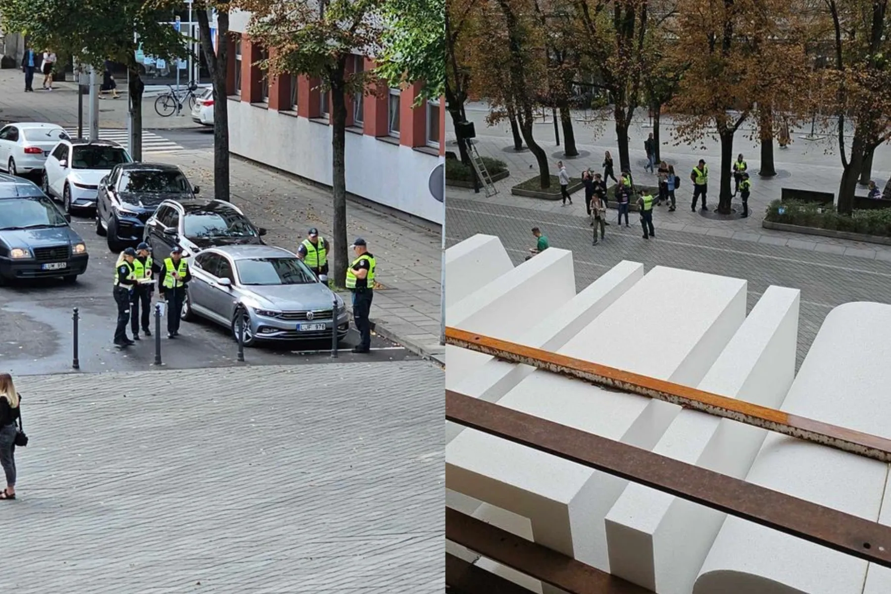 policija Laisvės al.